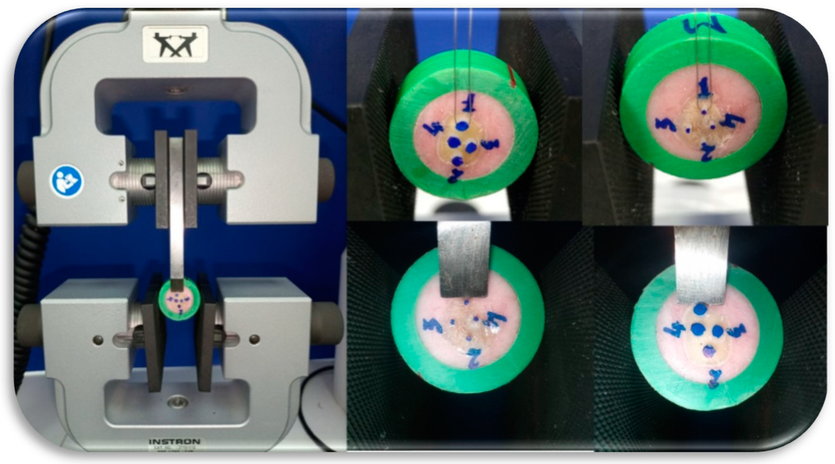 Dentistry 09 00140 g002 Dentistry 09 00140 g002