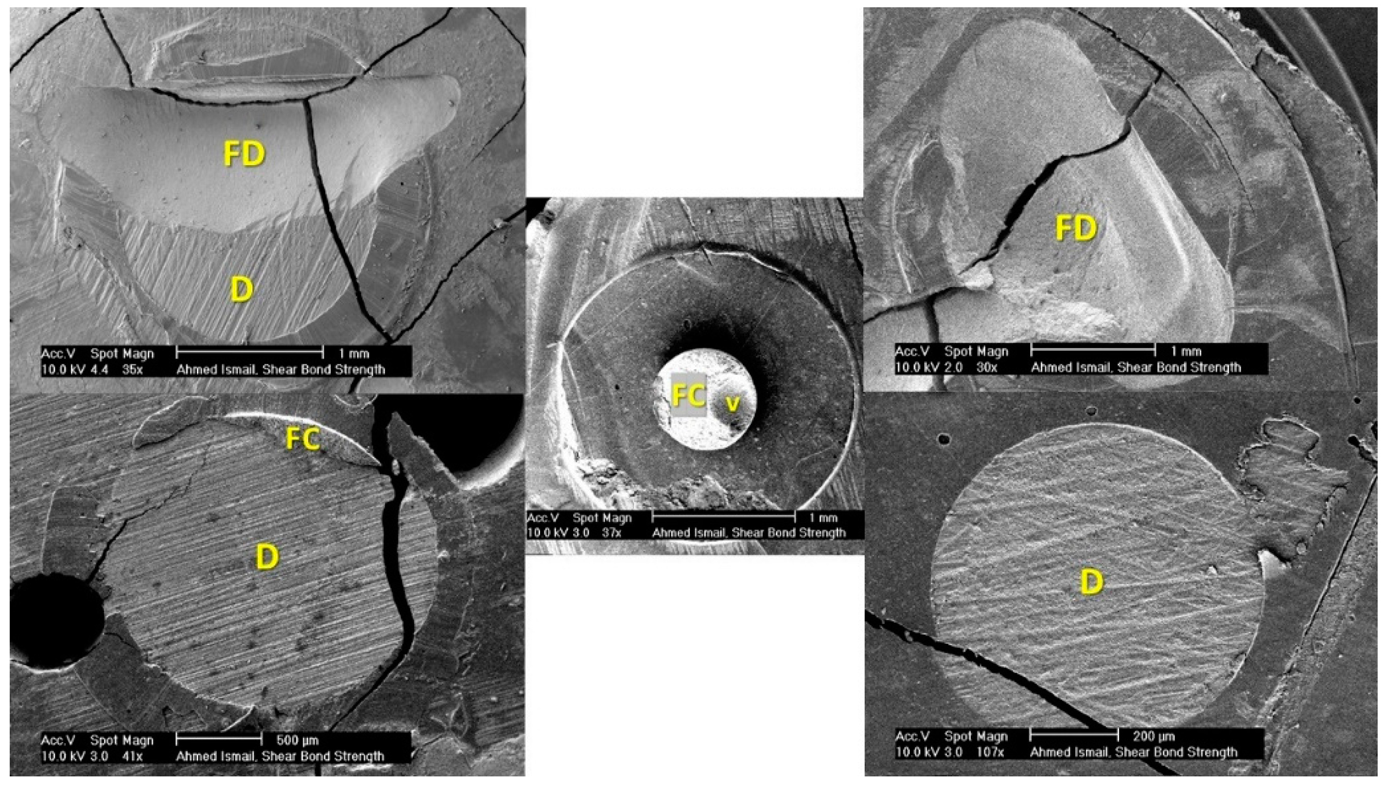 Dentistry 09 00140 g005 Dentistry 09 00140 g005