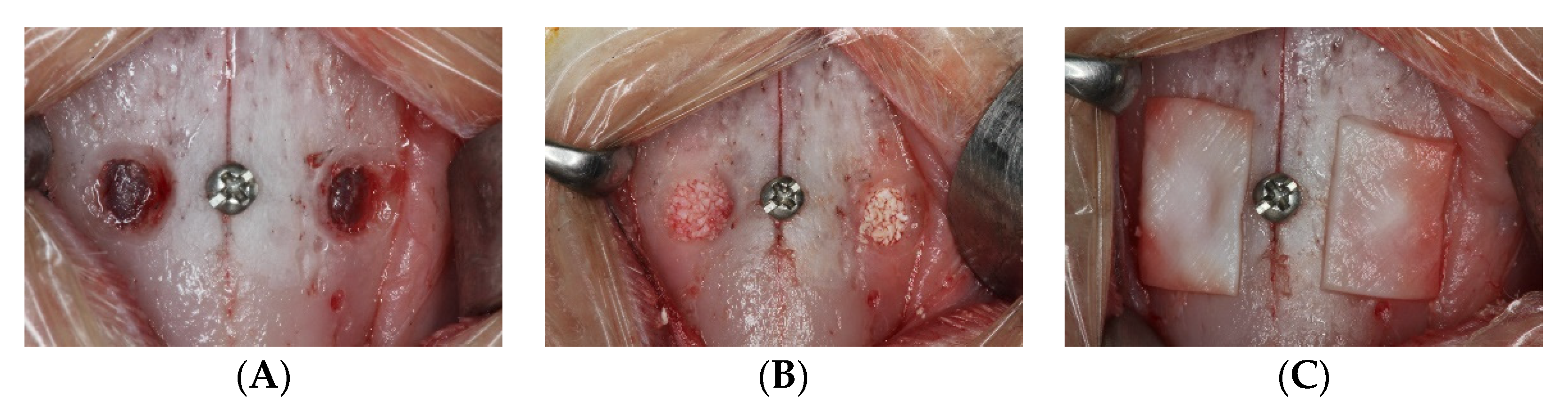 Dentistry 10 00002 g001