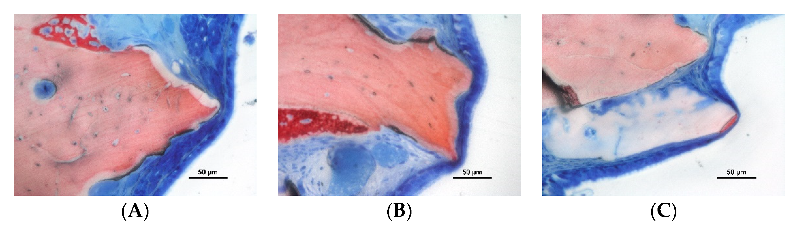 Dentistry 10 00002 g002