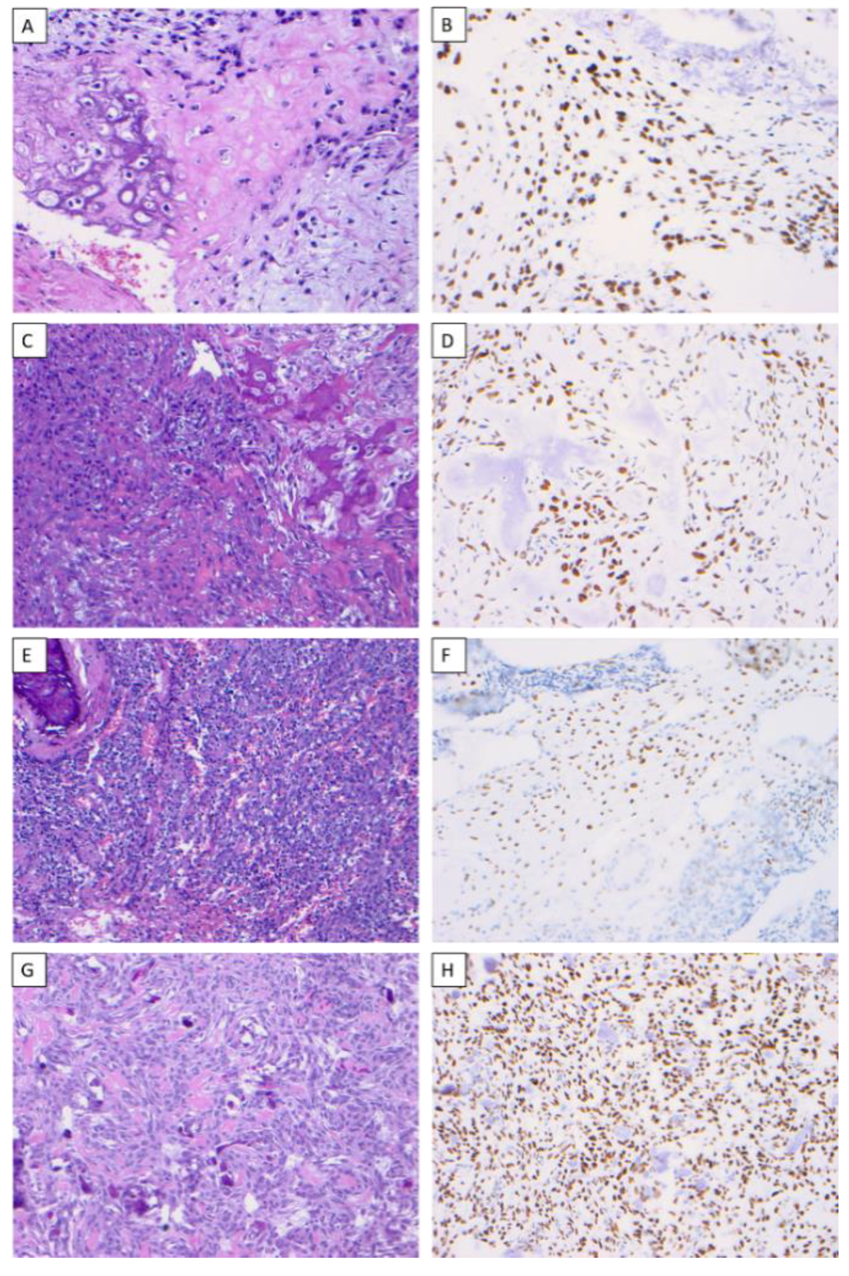 Dentistry 10 00004 g001