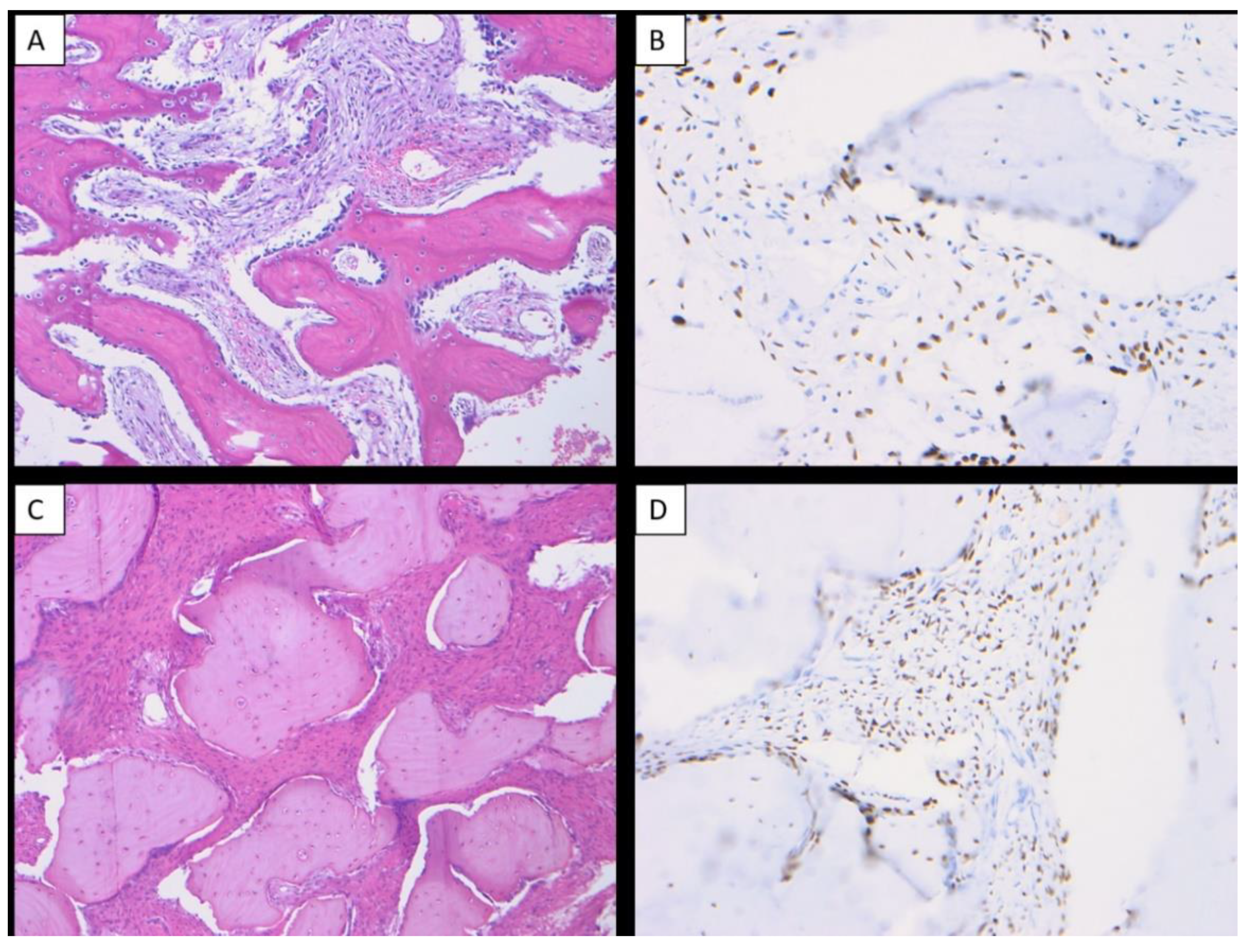 Dentistry 10 00004 g002
