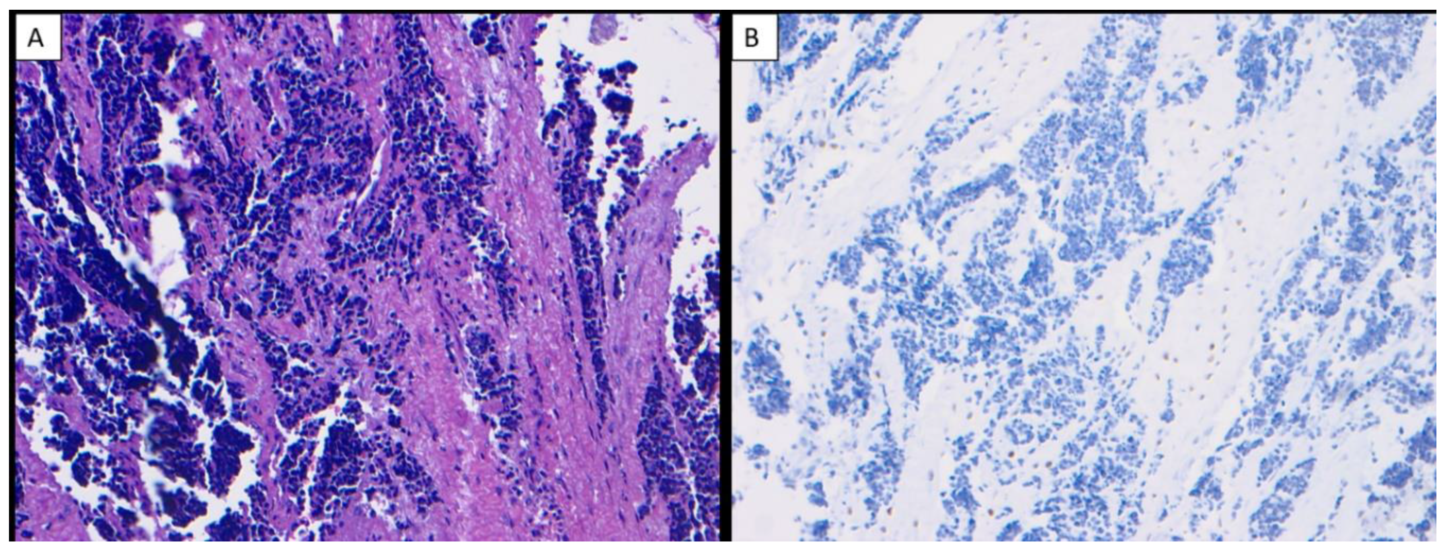 Dentistry 10 00004 g003