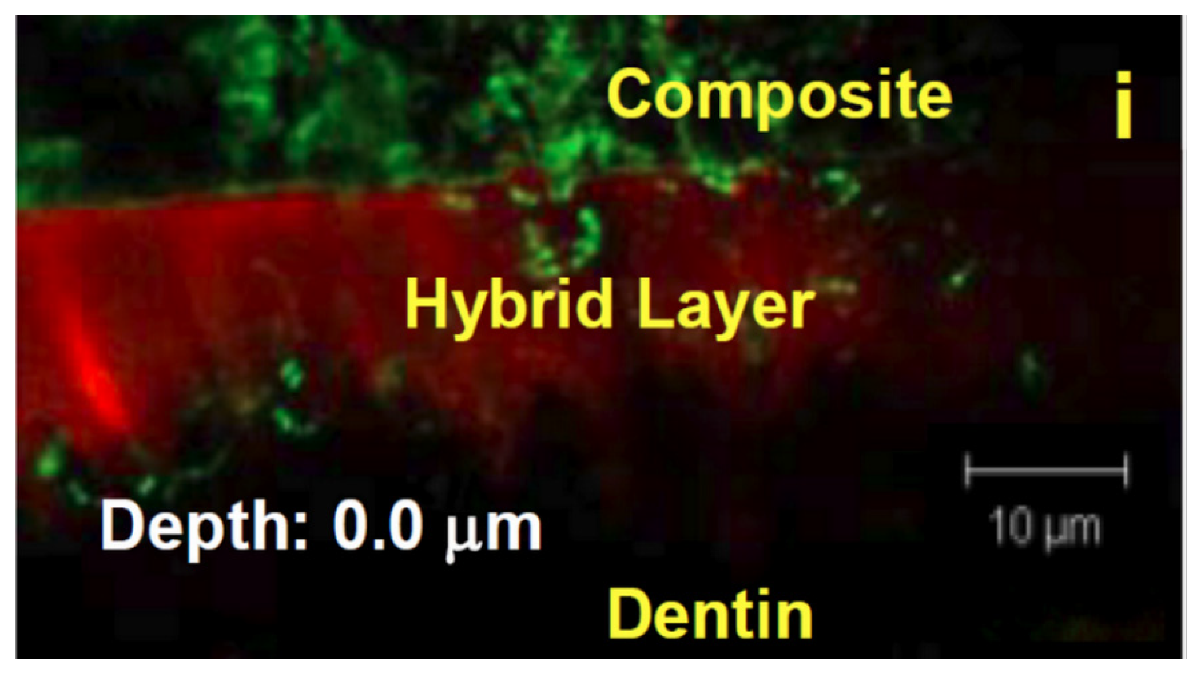 Dentistry 10 00013 g003