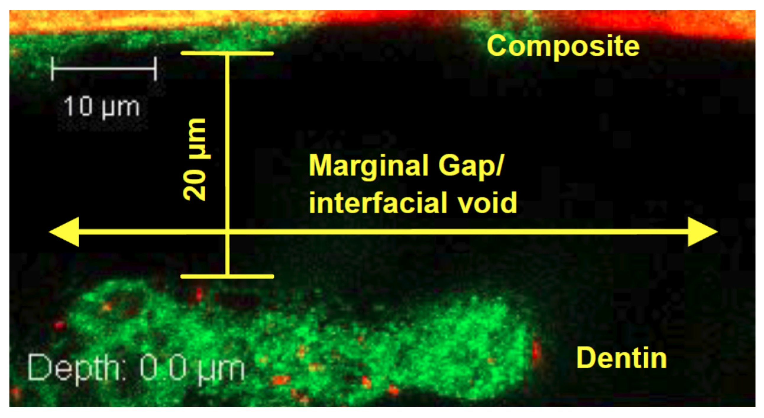 Dentistry 10 00013 g005