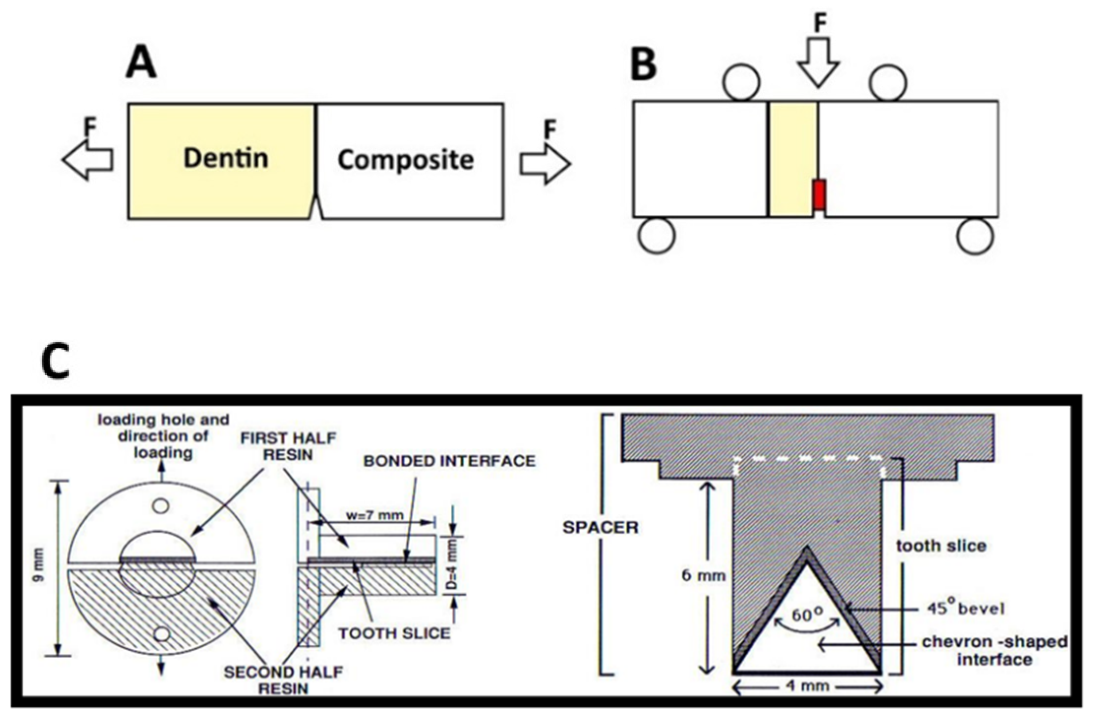 Dentistry 10 00013 g006