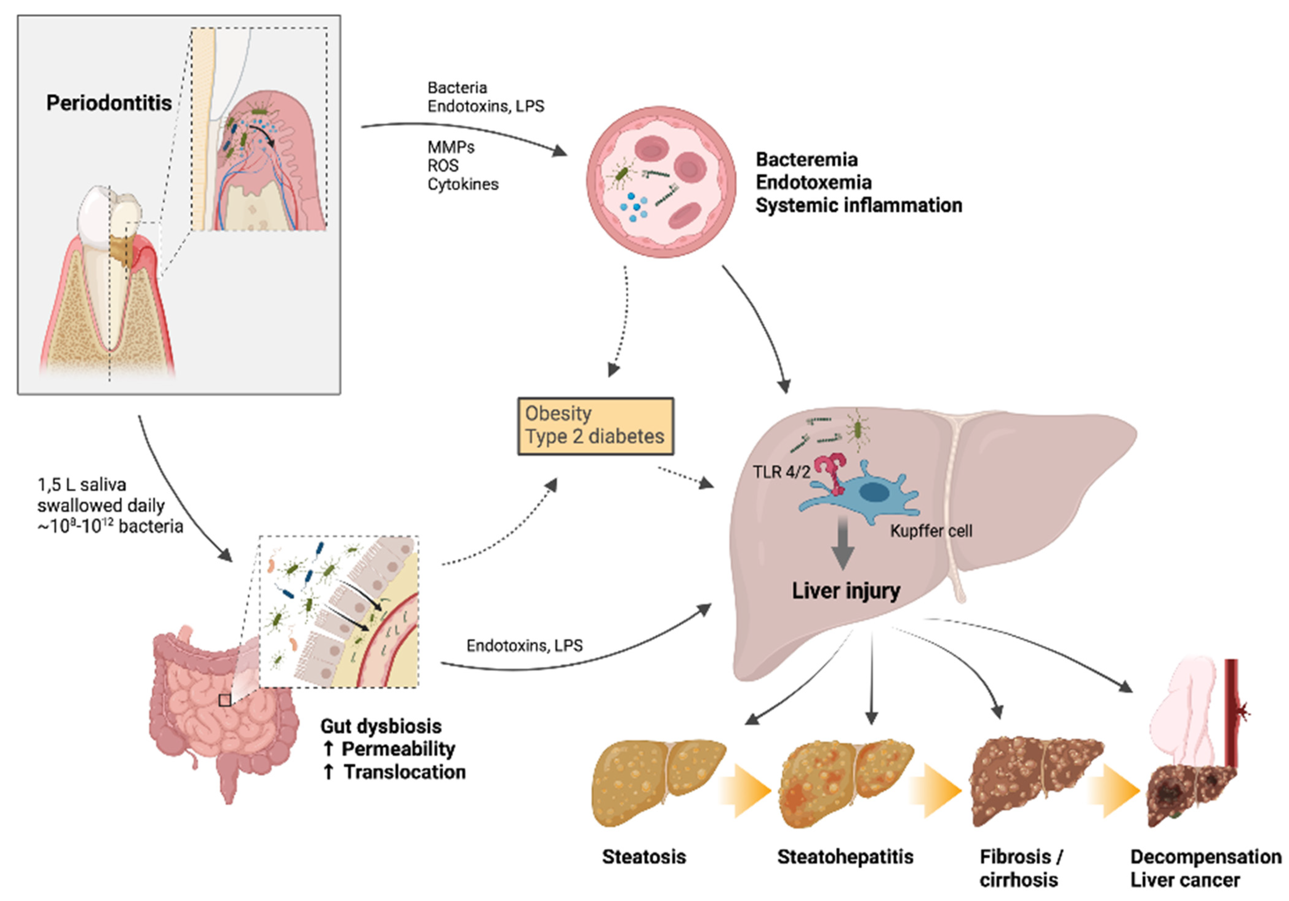 Dentistry 10 00016 g001
