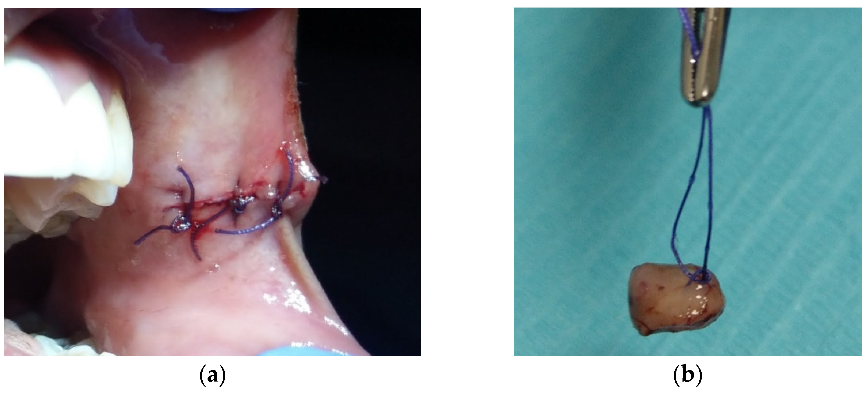 Dentistry 10 00017 g002
