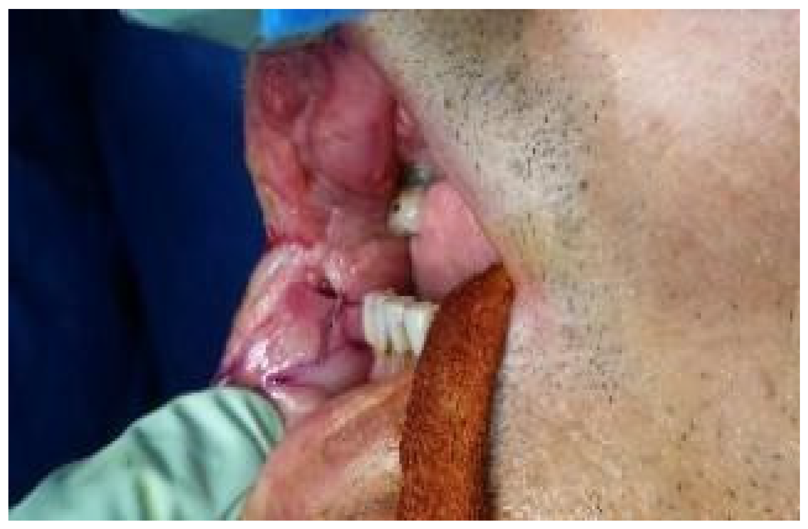 Dentistry 10 00019 g005