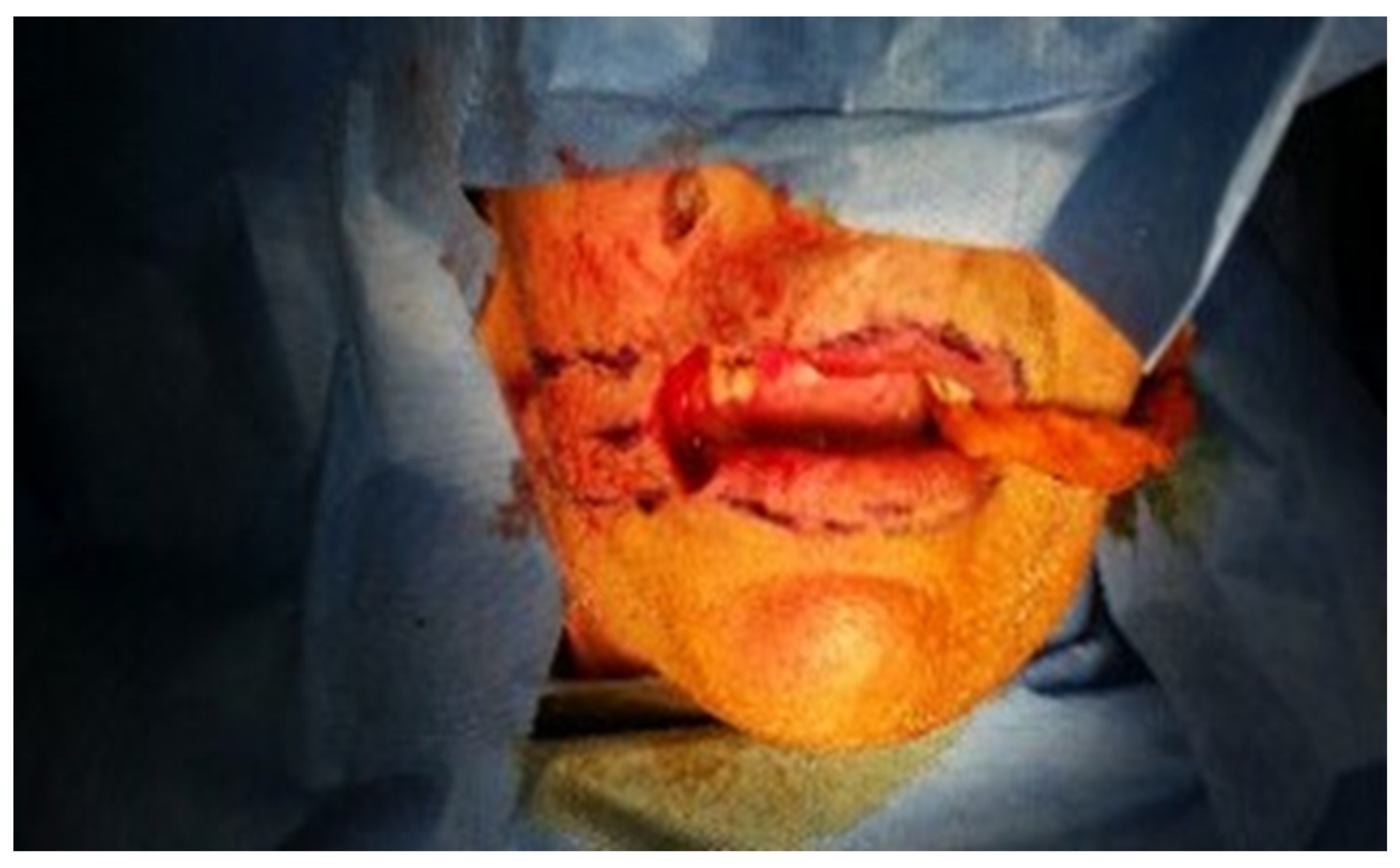 Dentistry 10 00019 g007