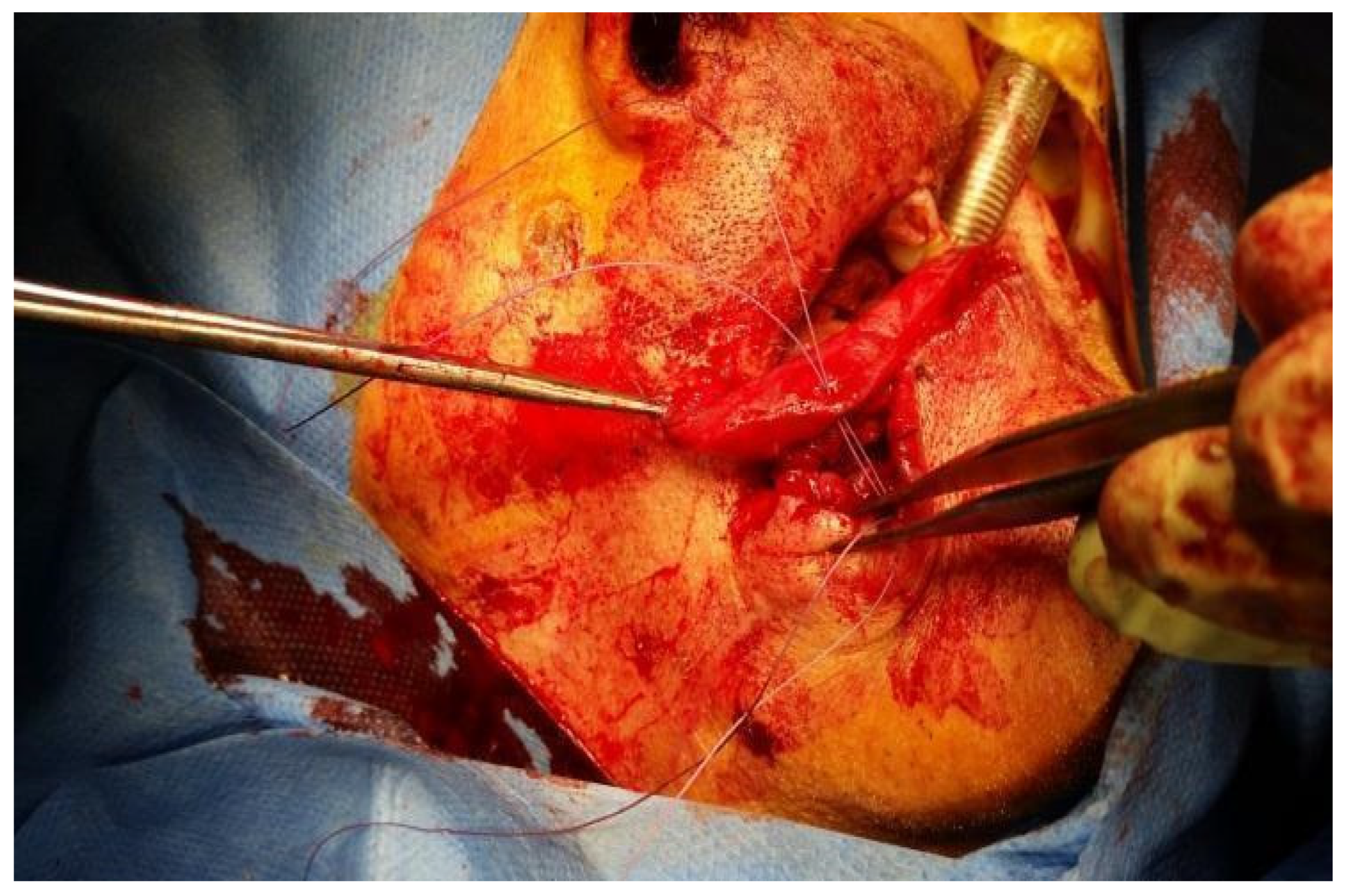 Dentistry 10 00019 g008