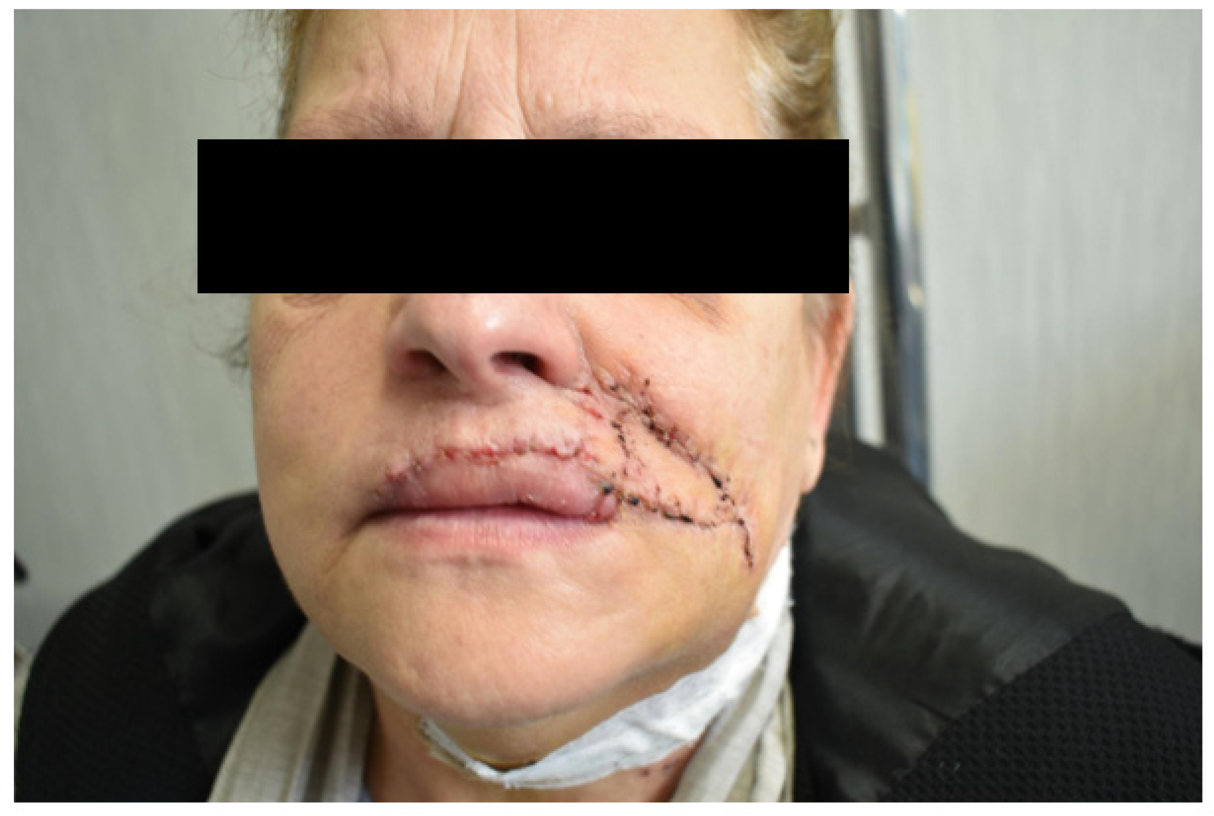 Dentistry 10 00019 g014