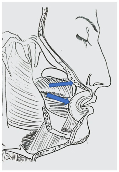 Dentistry 10 00019 g0a1 550
