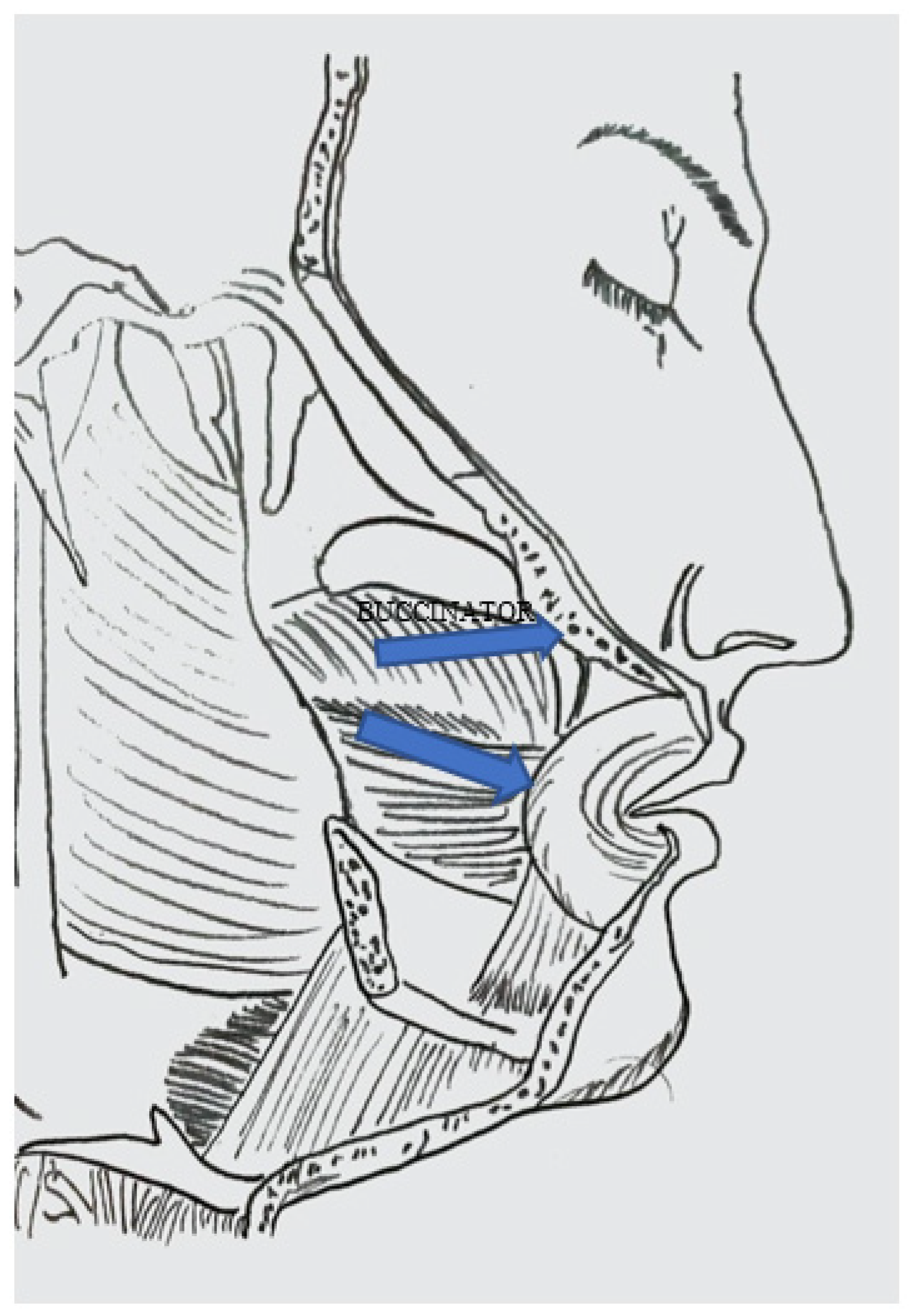 Dentistry 10 00019 g0a1