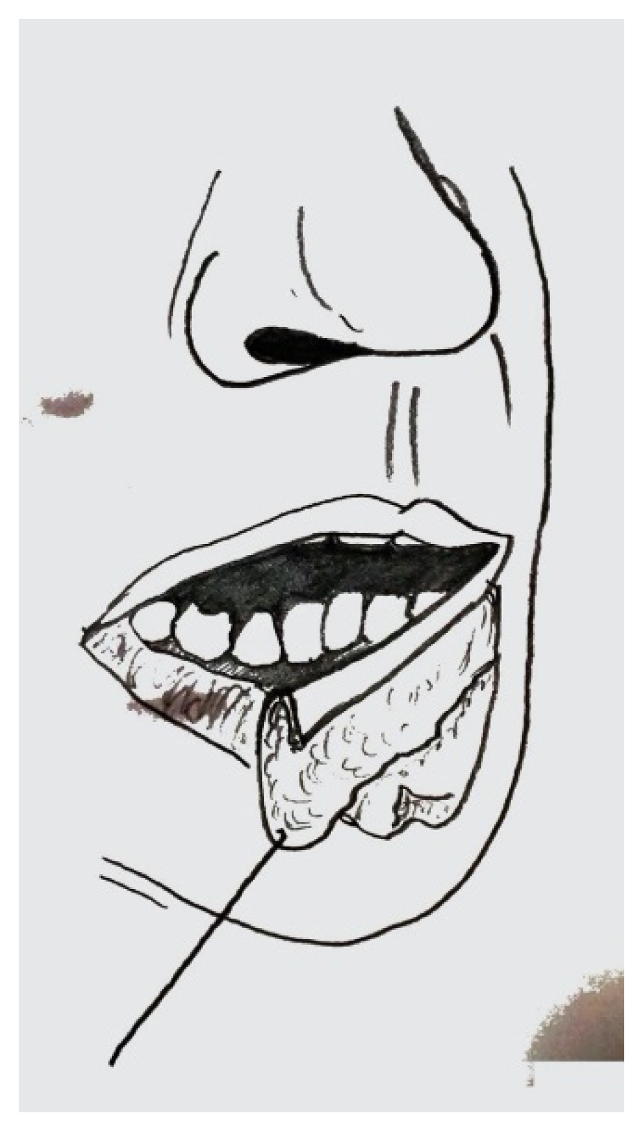 Dentistry 10 00019 g0a3