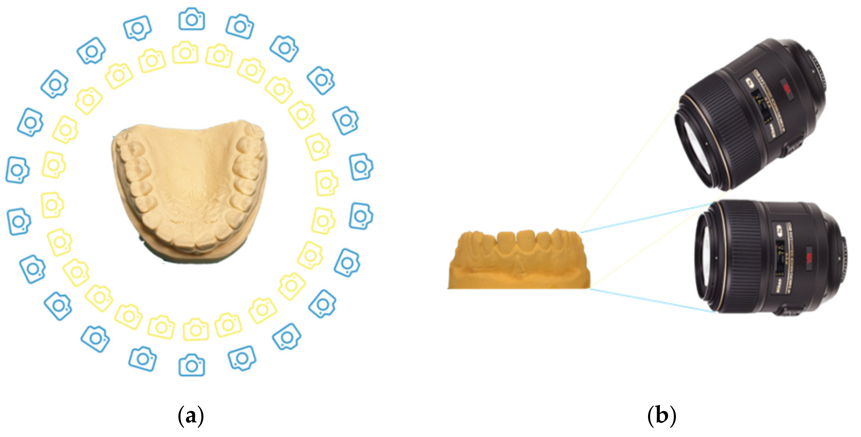 Dentistry 10 00024 g001