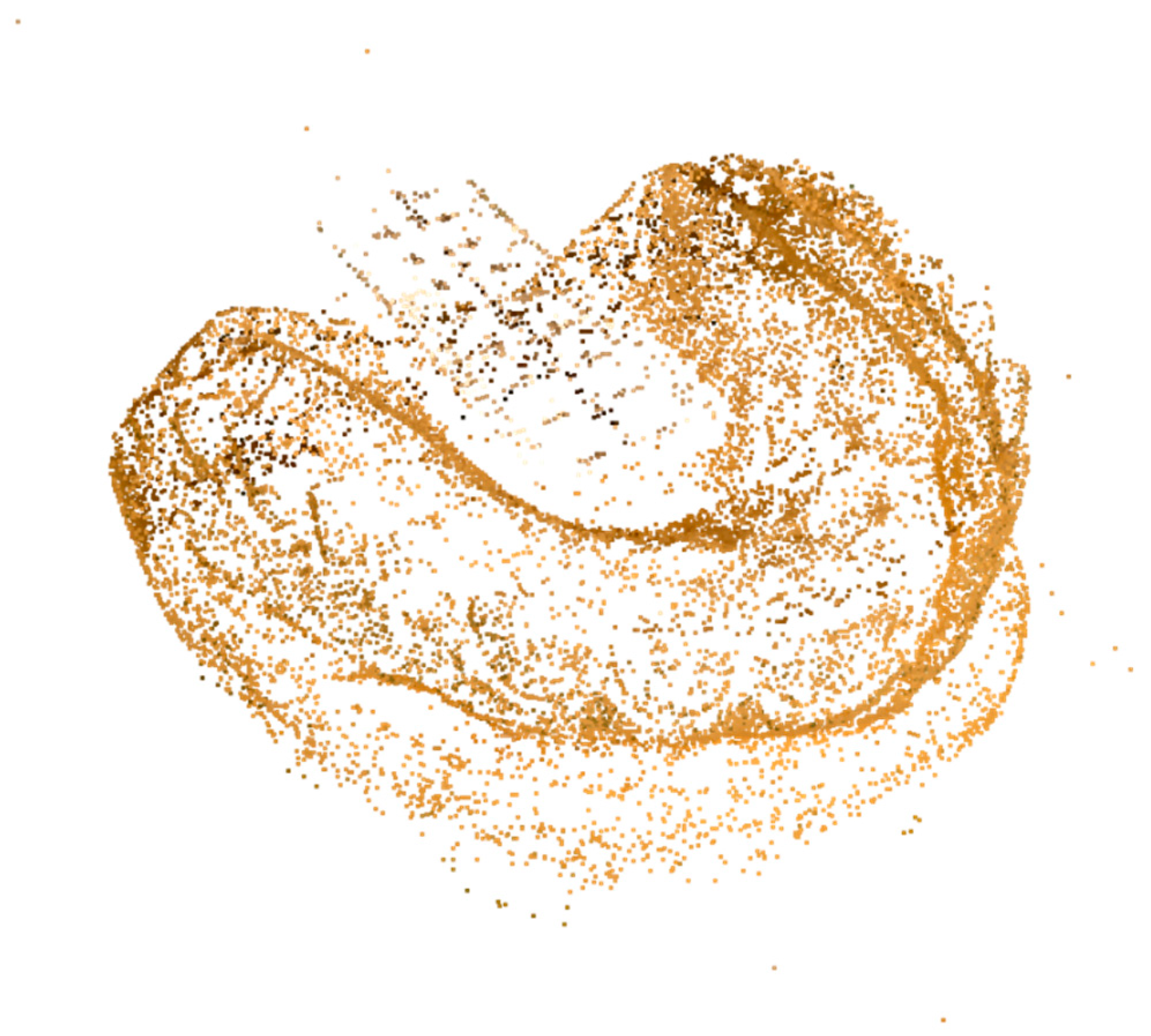 Dentistry 10 00024 g002