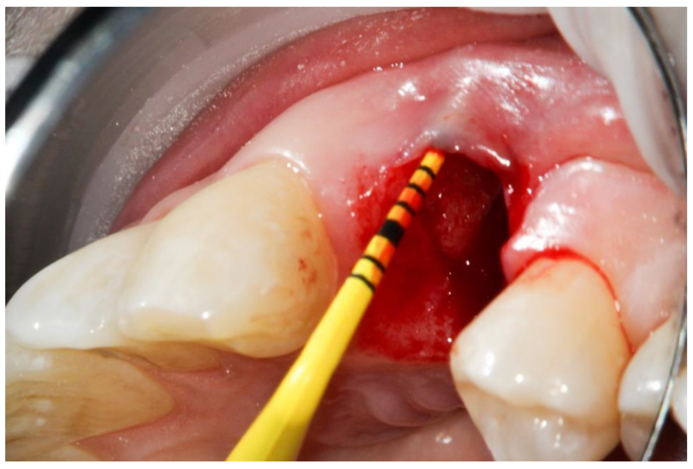 Dentistry 10 00029 g003