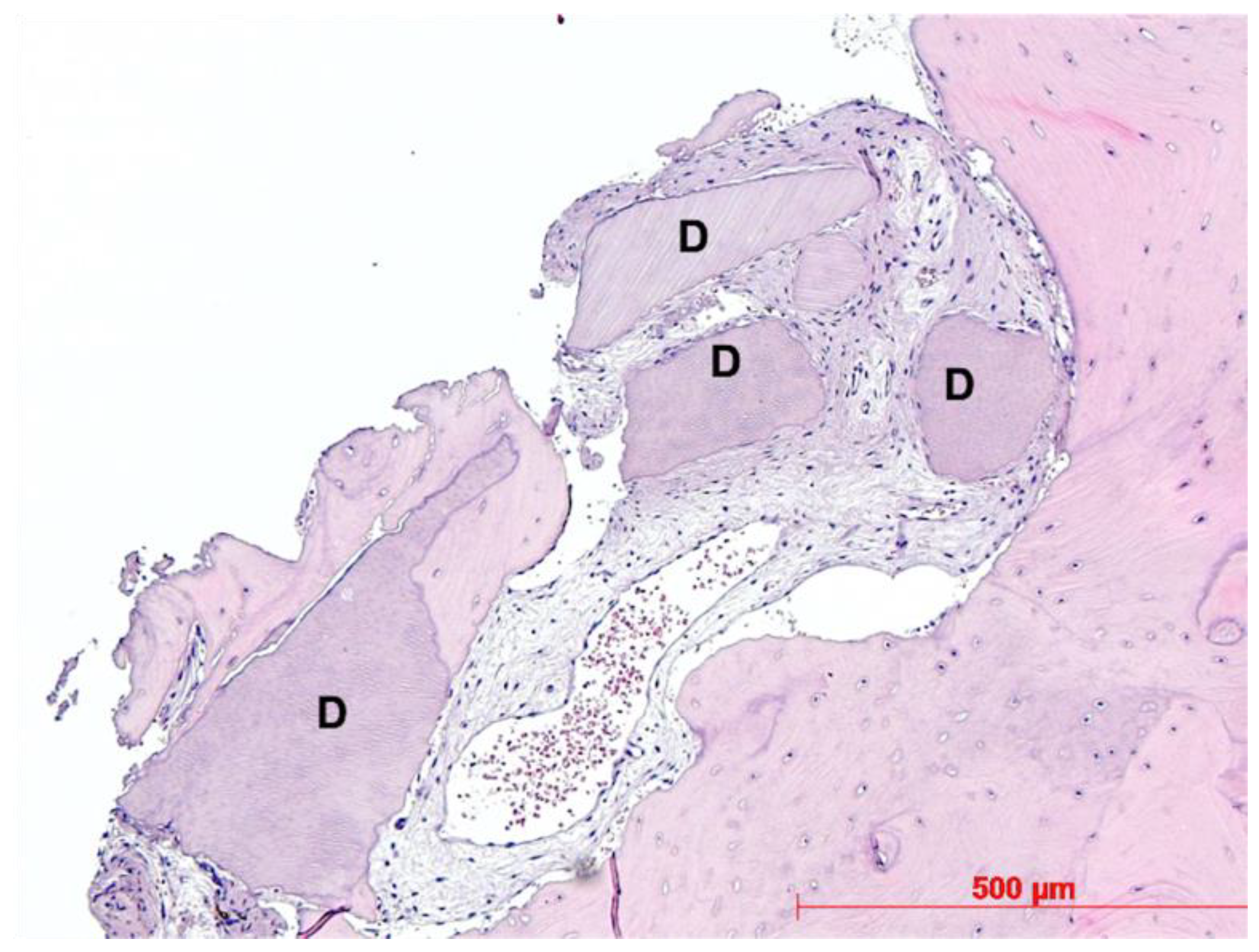 Dentistry 10 00029 g008