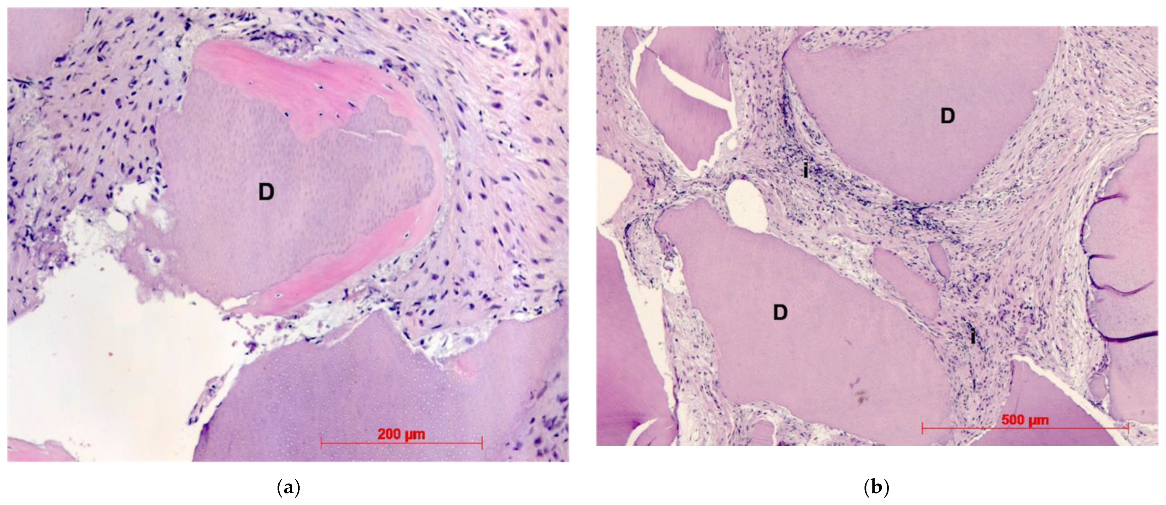 Dentistry 10 00029 g009