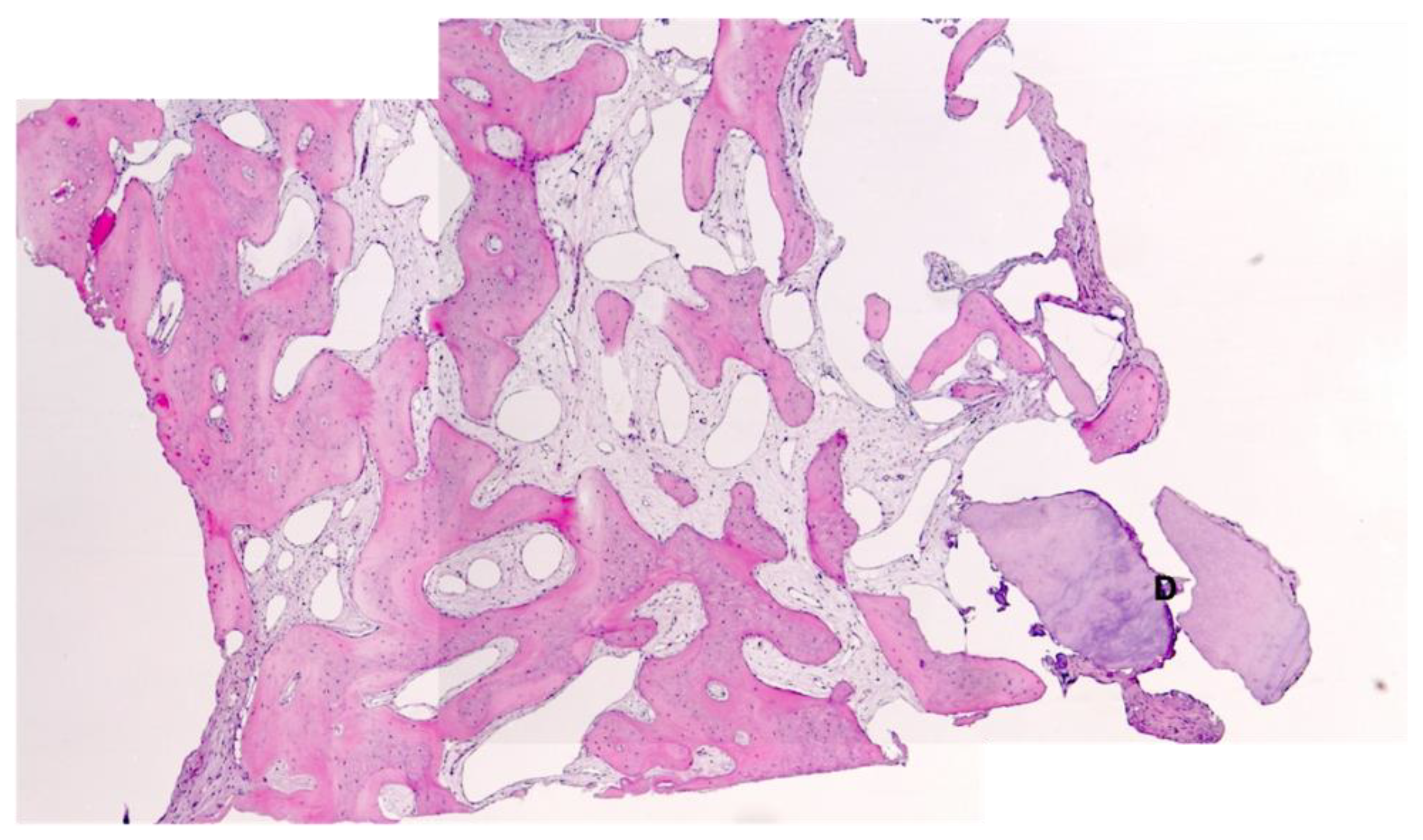 Dentistry 10 00029 g010