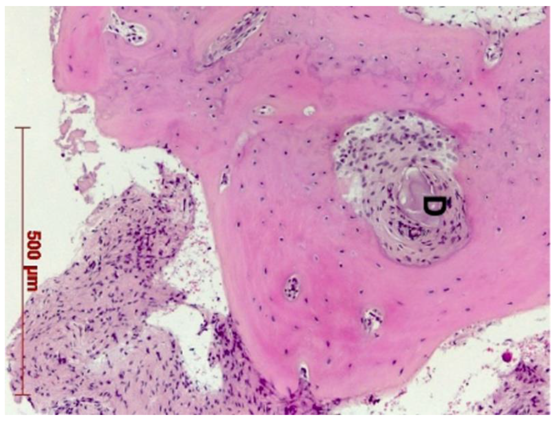 Dentistry 10 00029 g011