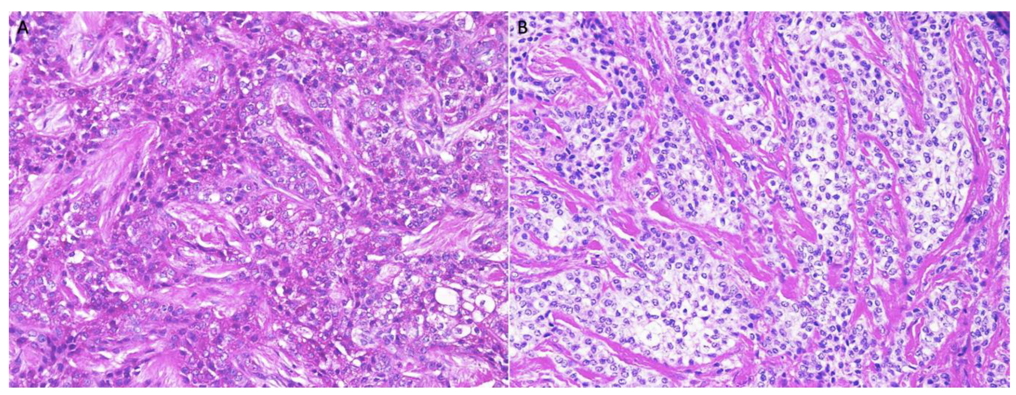 Dentistry 10 00034 g004