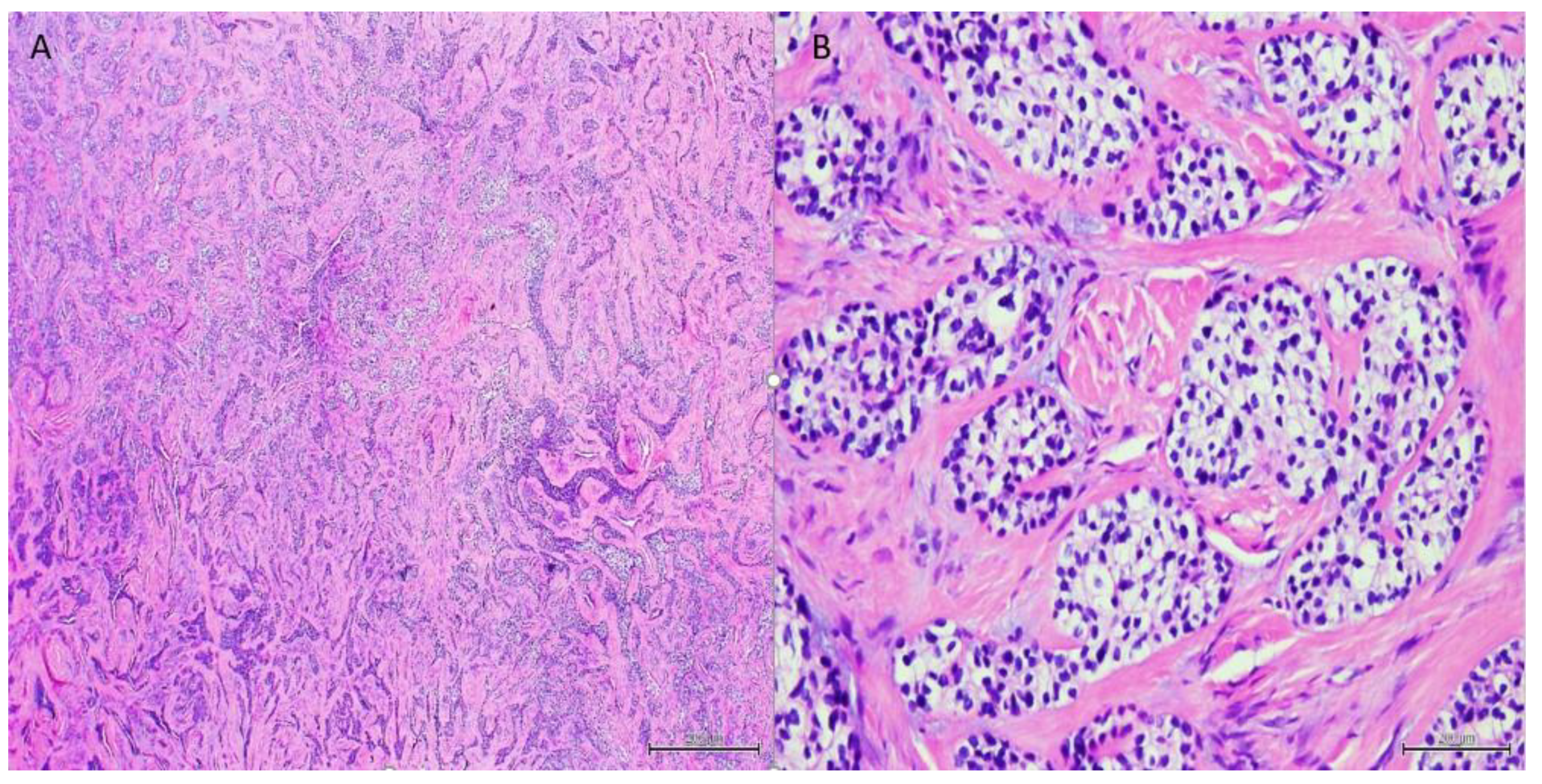 Dentistry 10 00034 g006