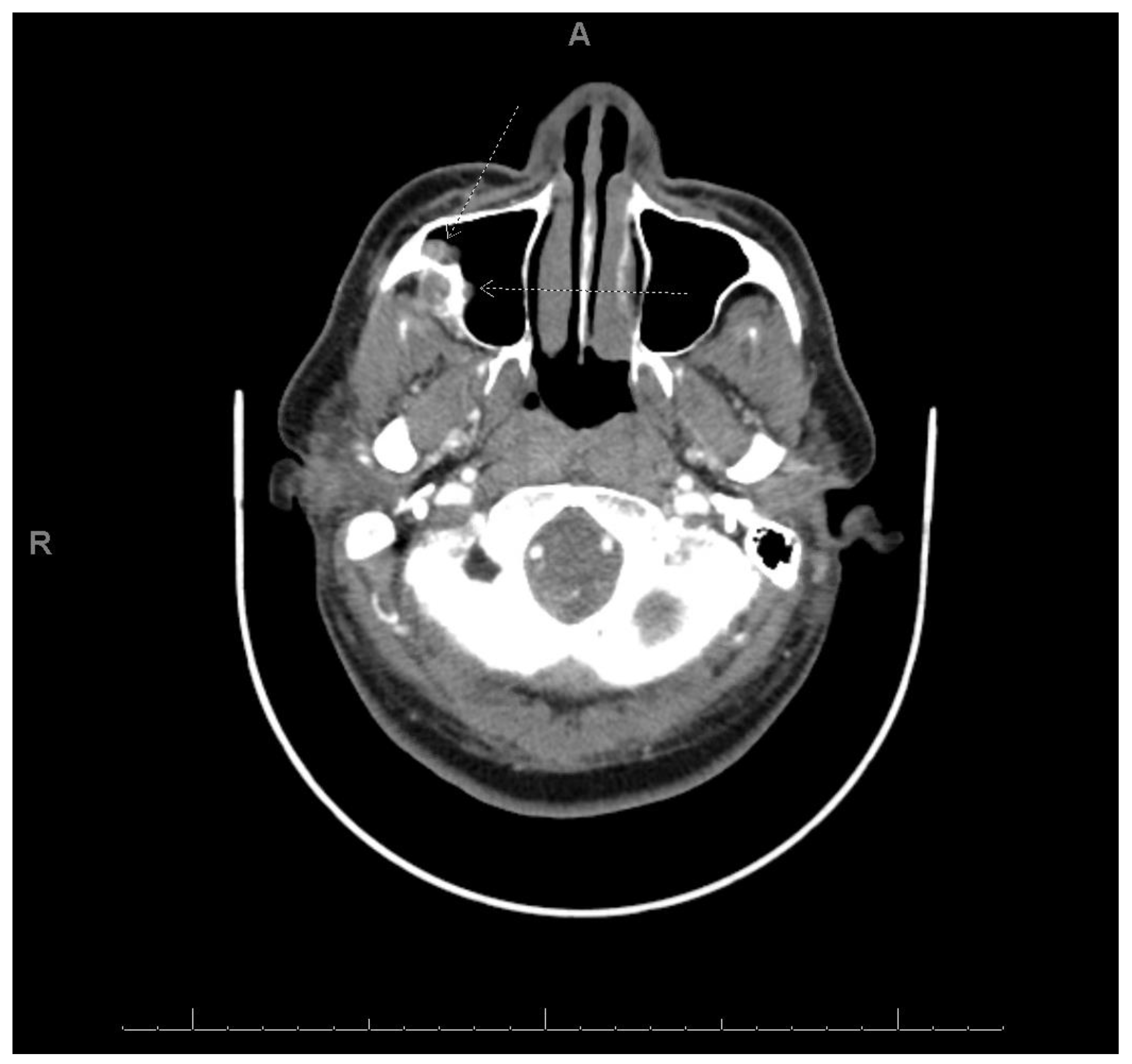 Dentistry 10 00034 g008