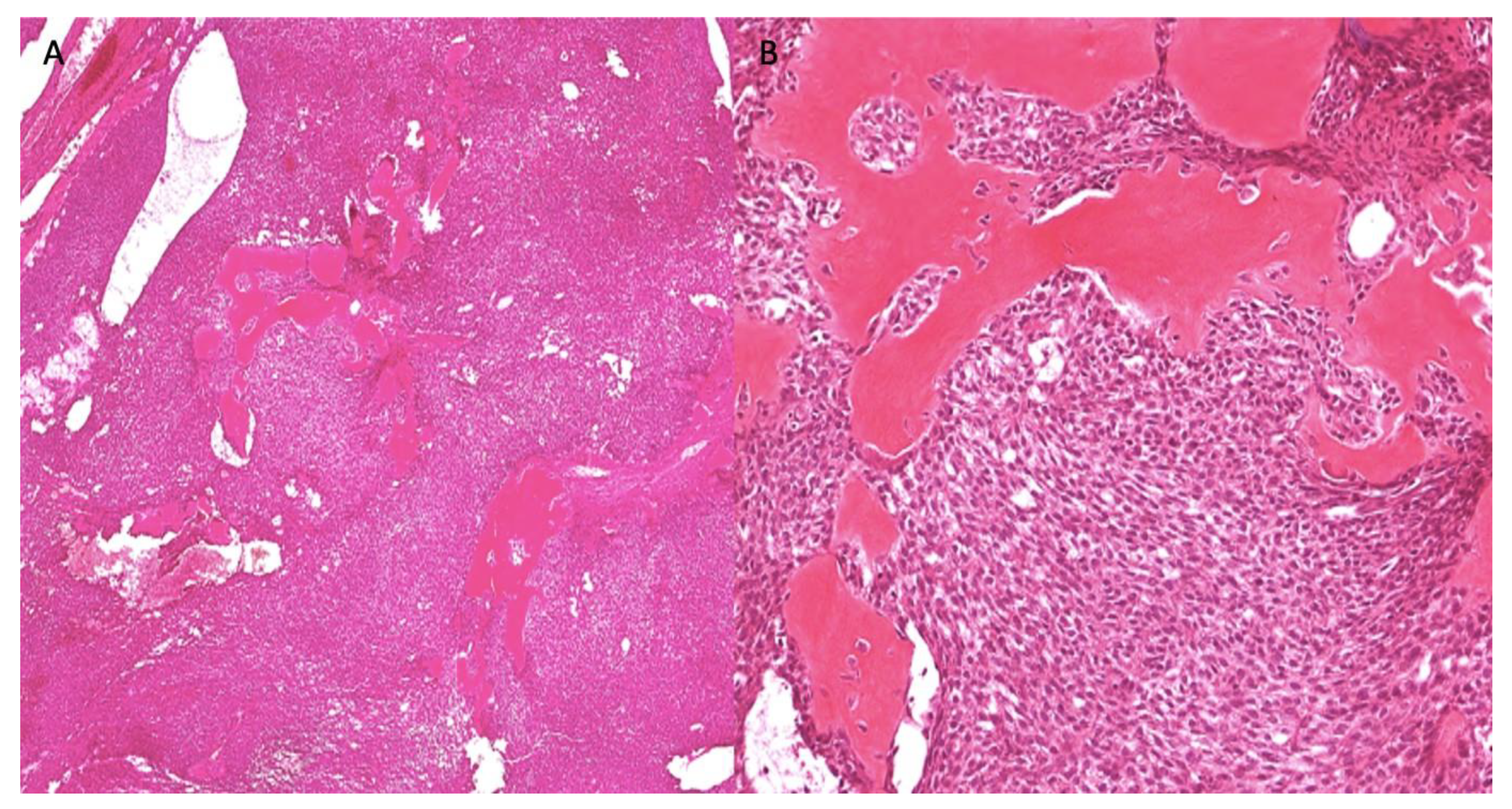 Dentistry 10 00034 g009