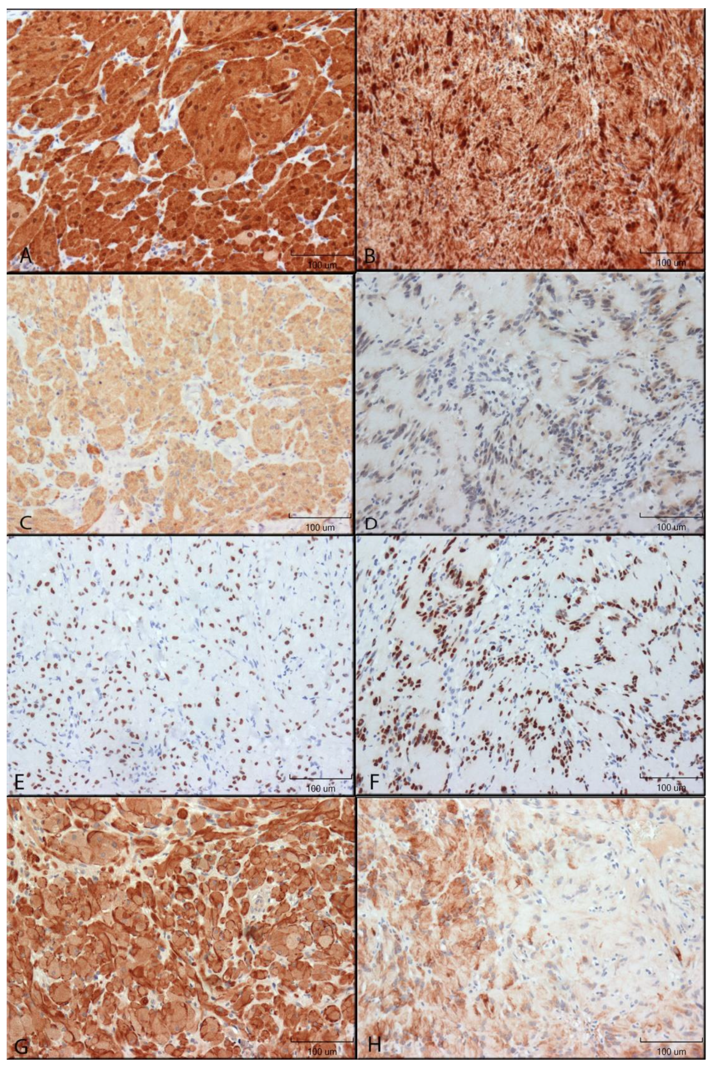 Dentistry 10 00038 g001