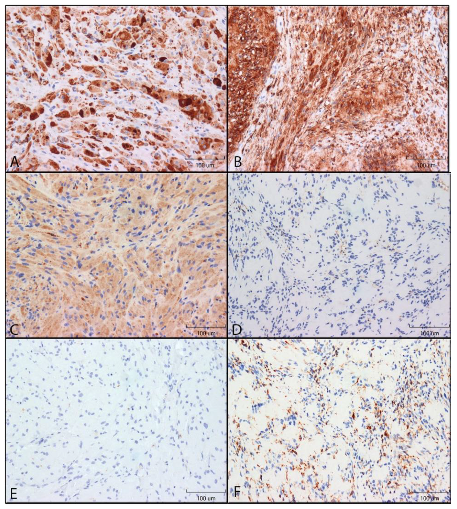 Dentistry 10 00038 g002