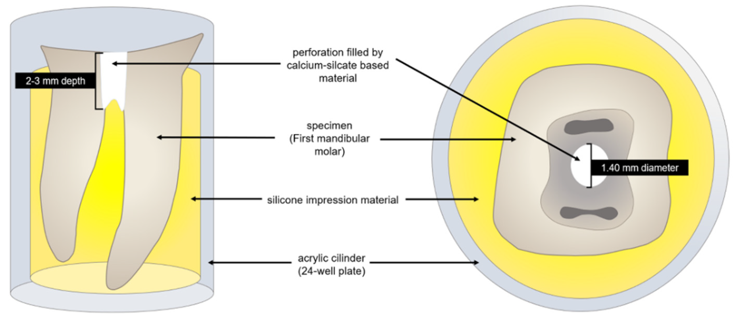 Dentistry 10 00041 g001
