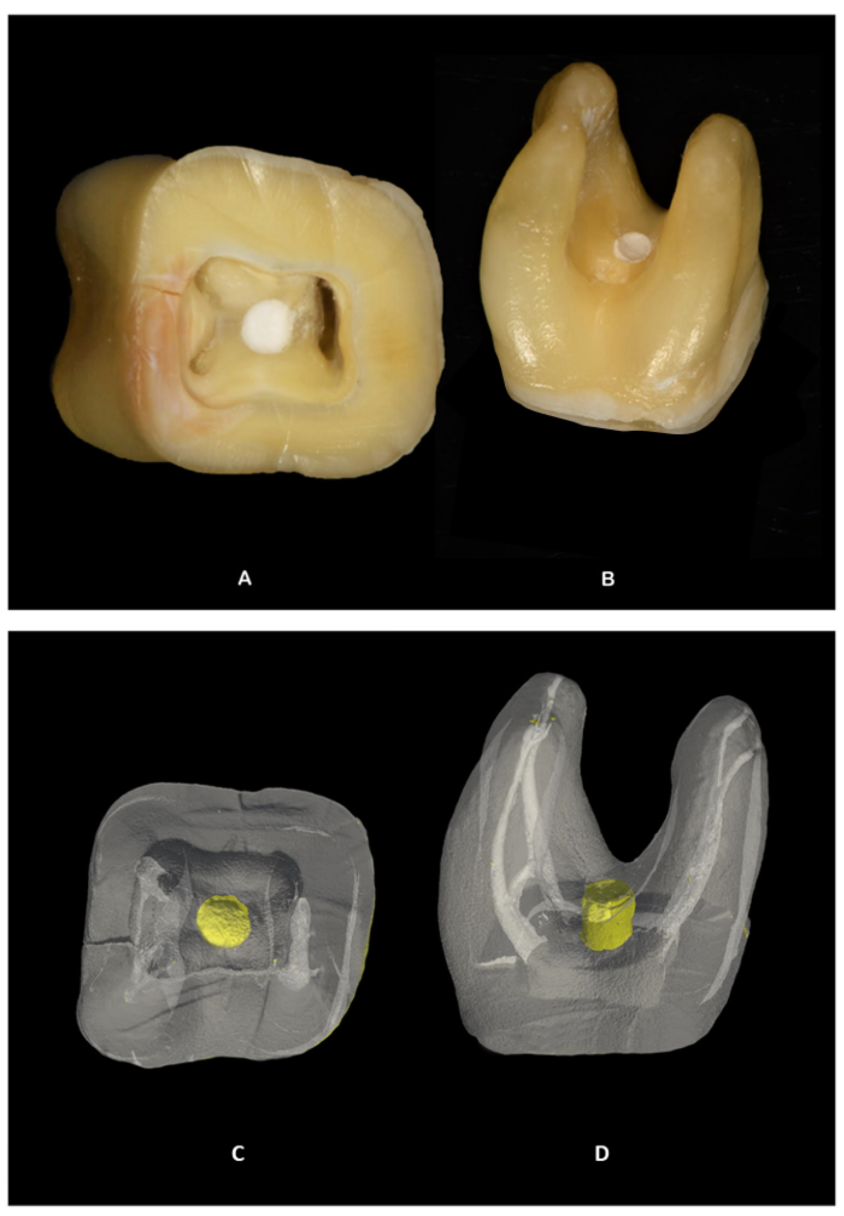 Dentistry 10 00041 g002