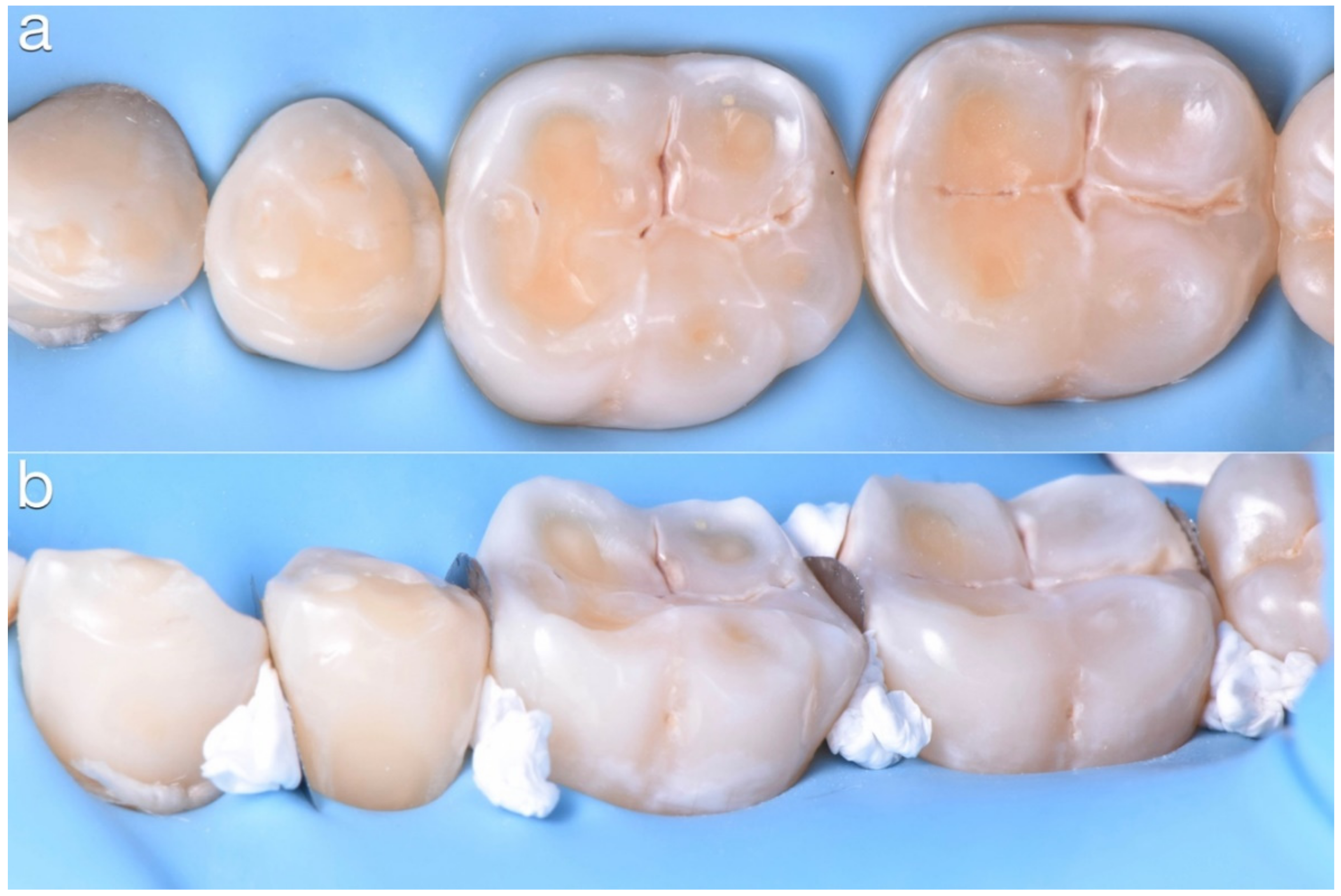 Dentistry 10 00051 g019