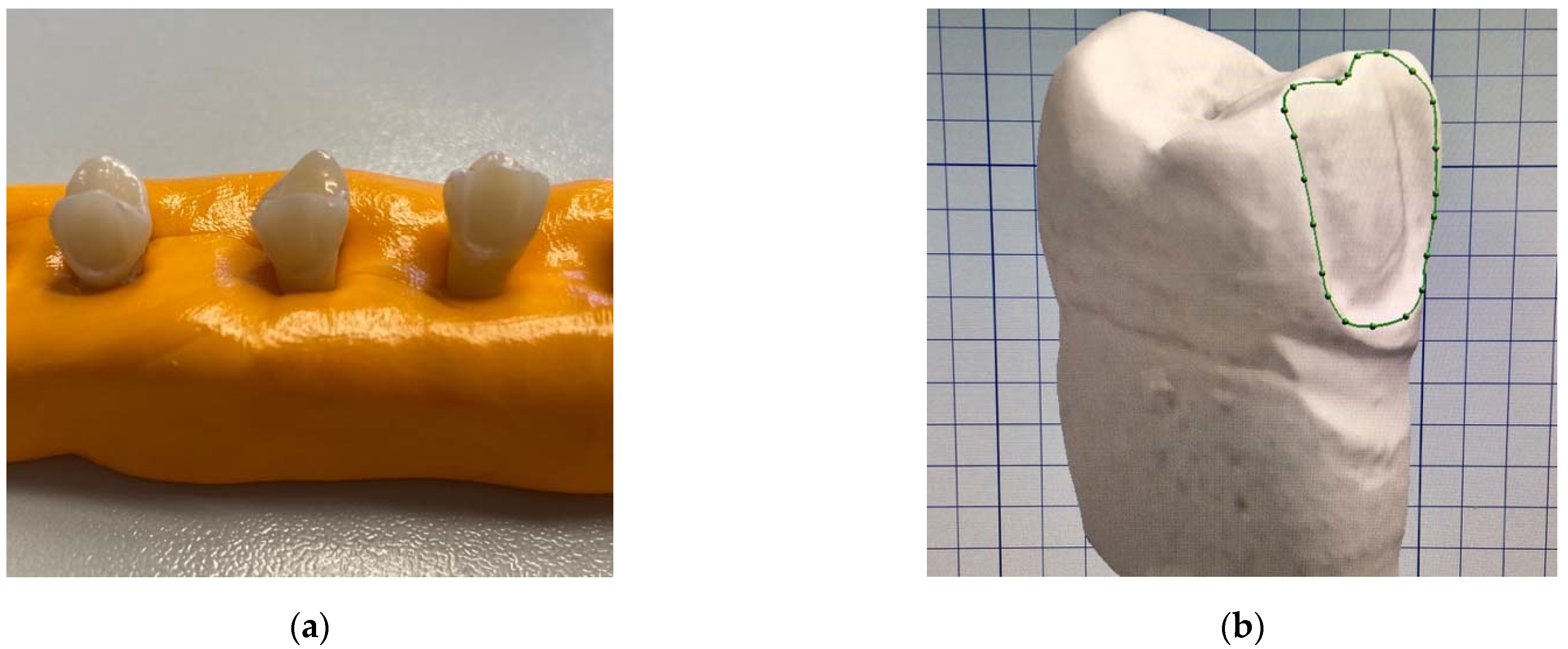 Dentistry 10 00055 g002