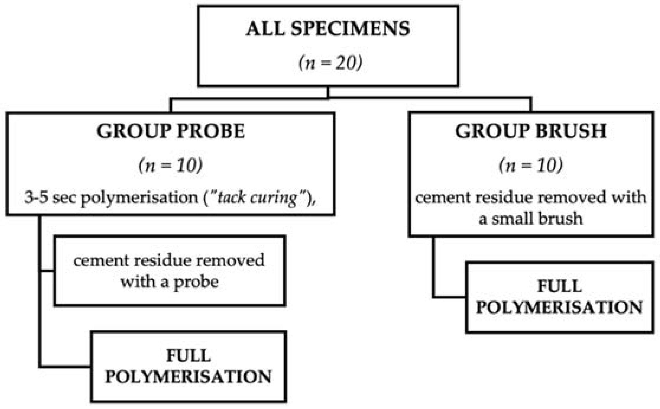 Dentistry 10 00055 g003