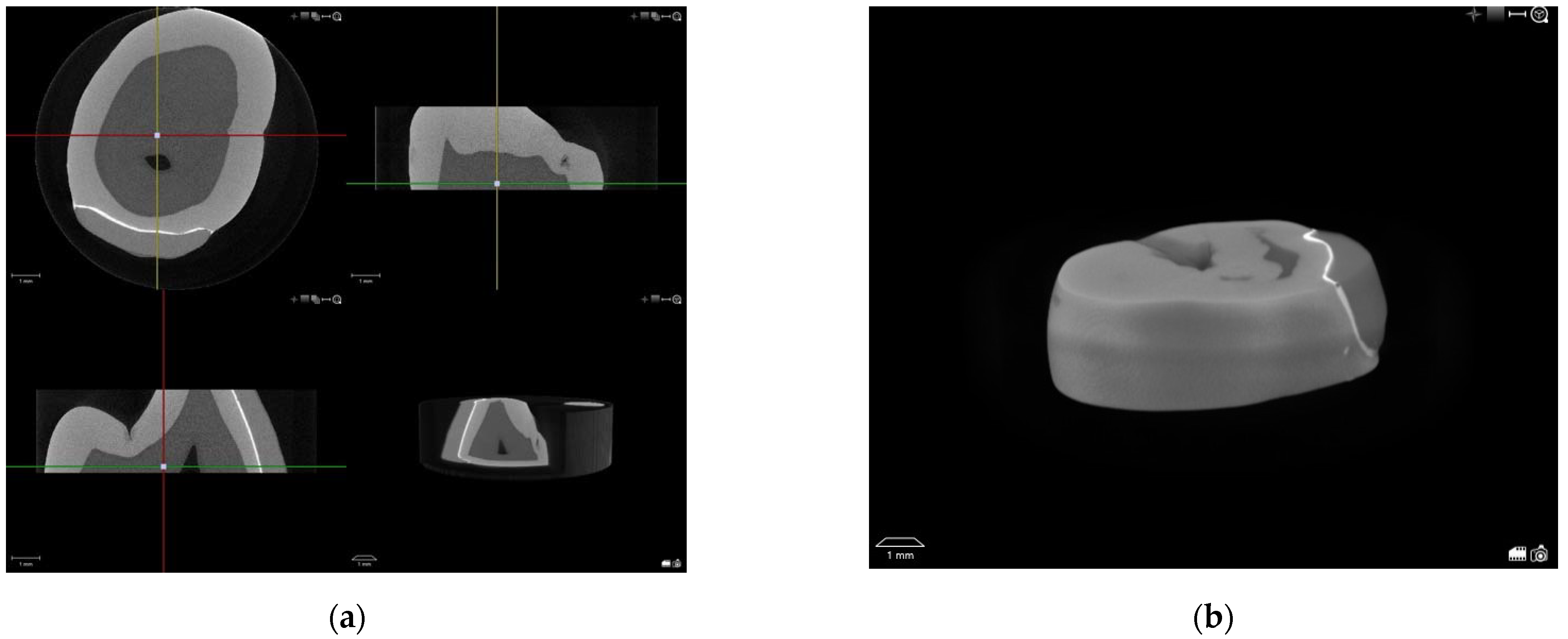 Dentistry 10 00055 g004