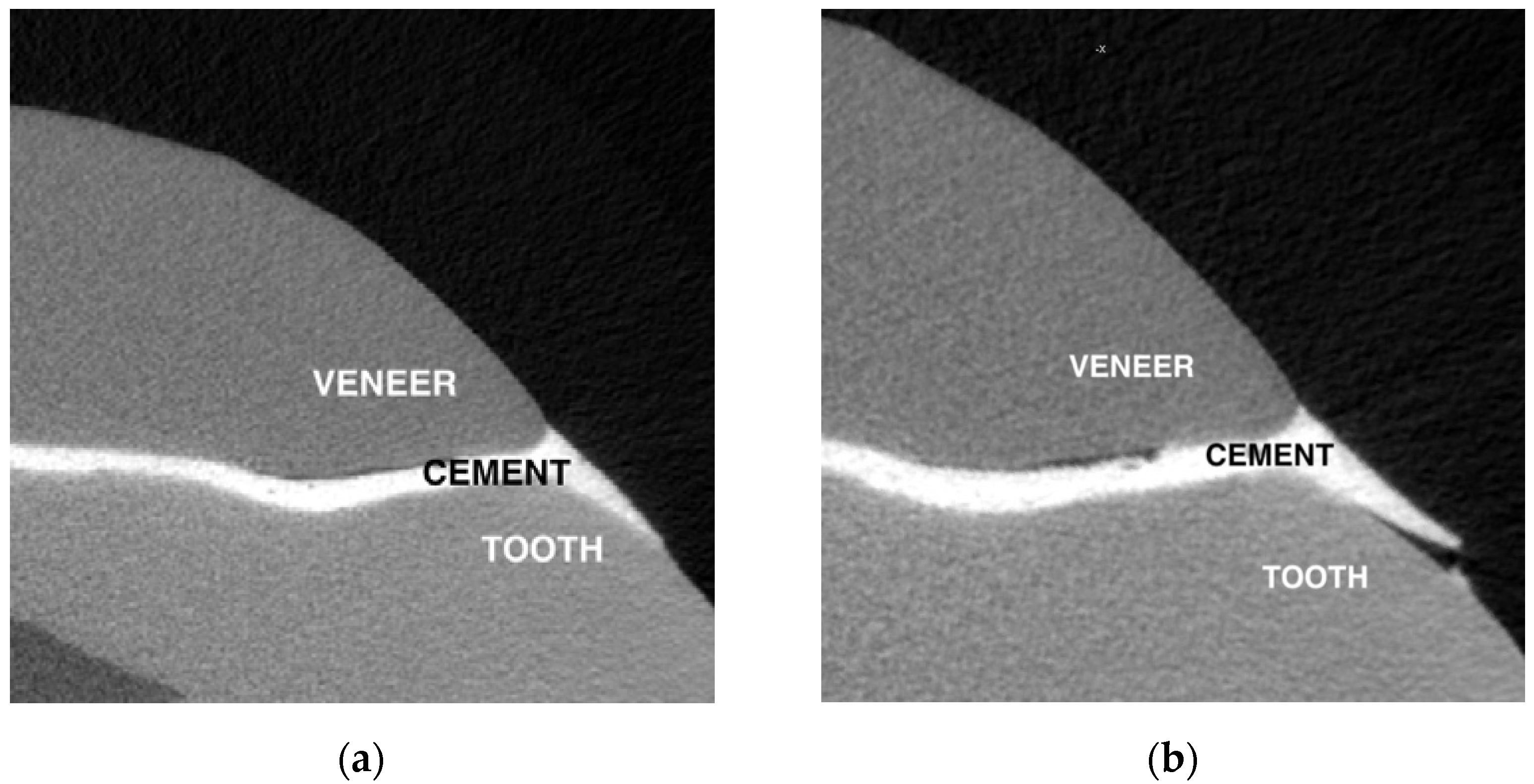 Dentistry 10 00055 g009