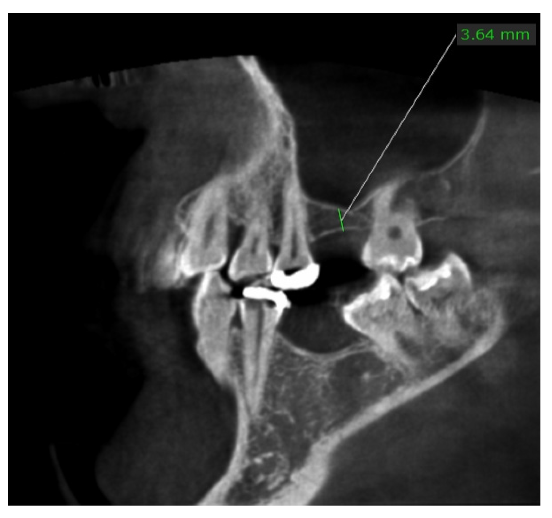 Dentistry 10 00058 g001