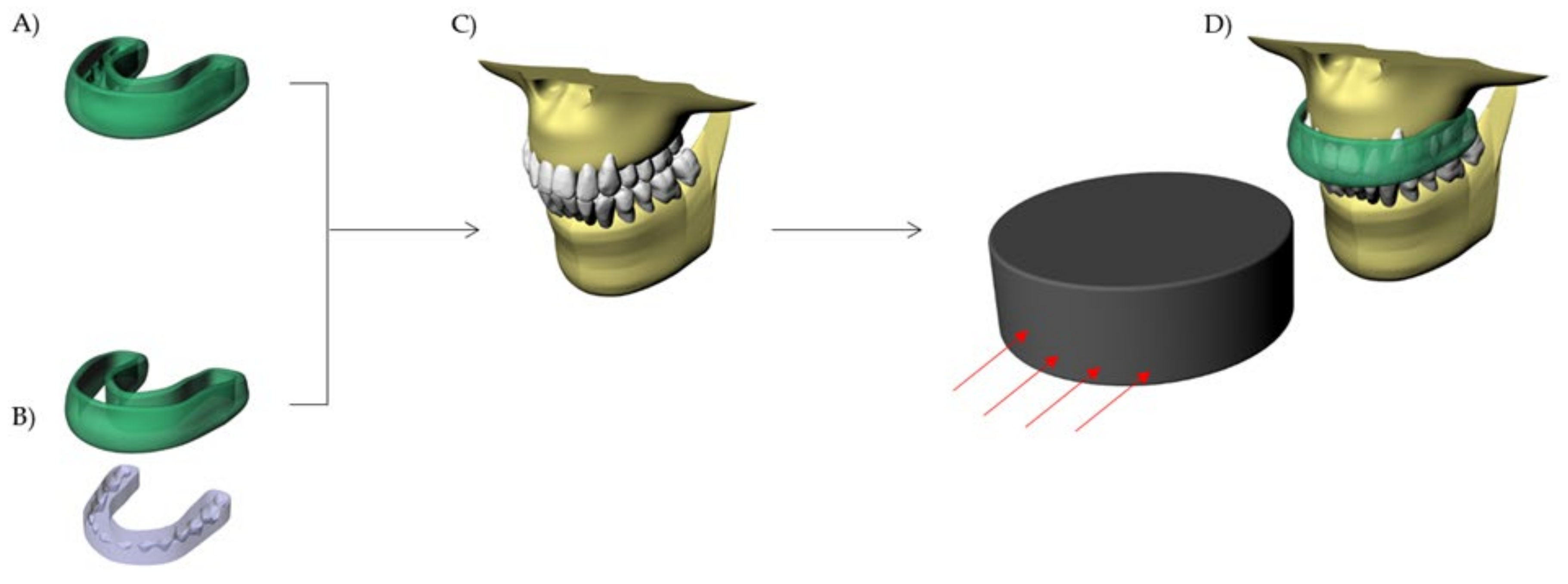 Dentistry 10 00065 g002