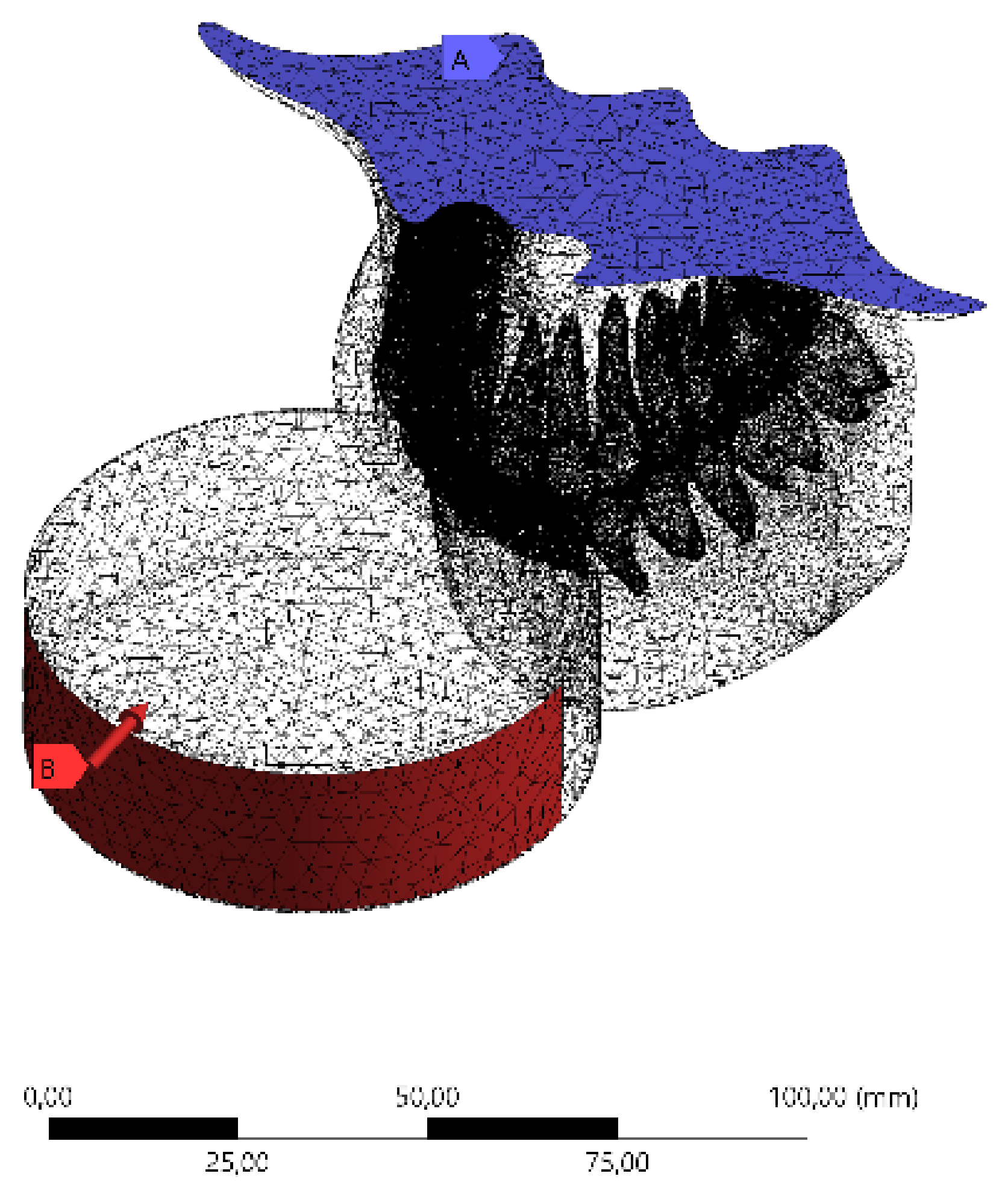 Dentistry 10 00065 g003