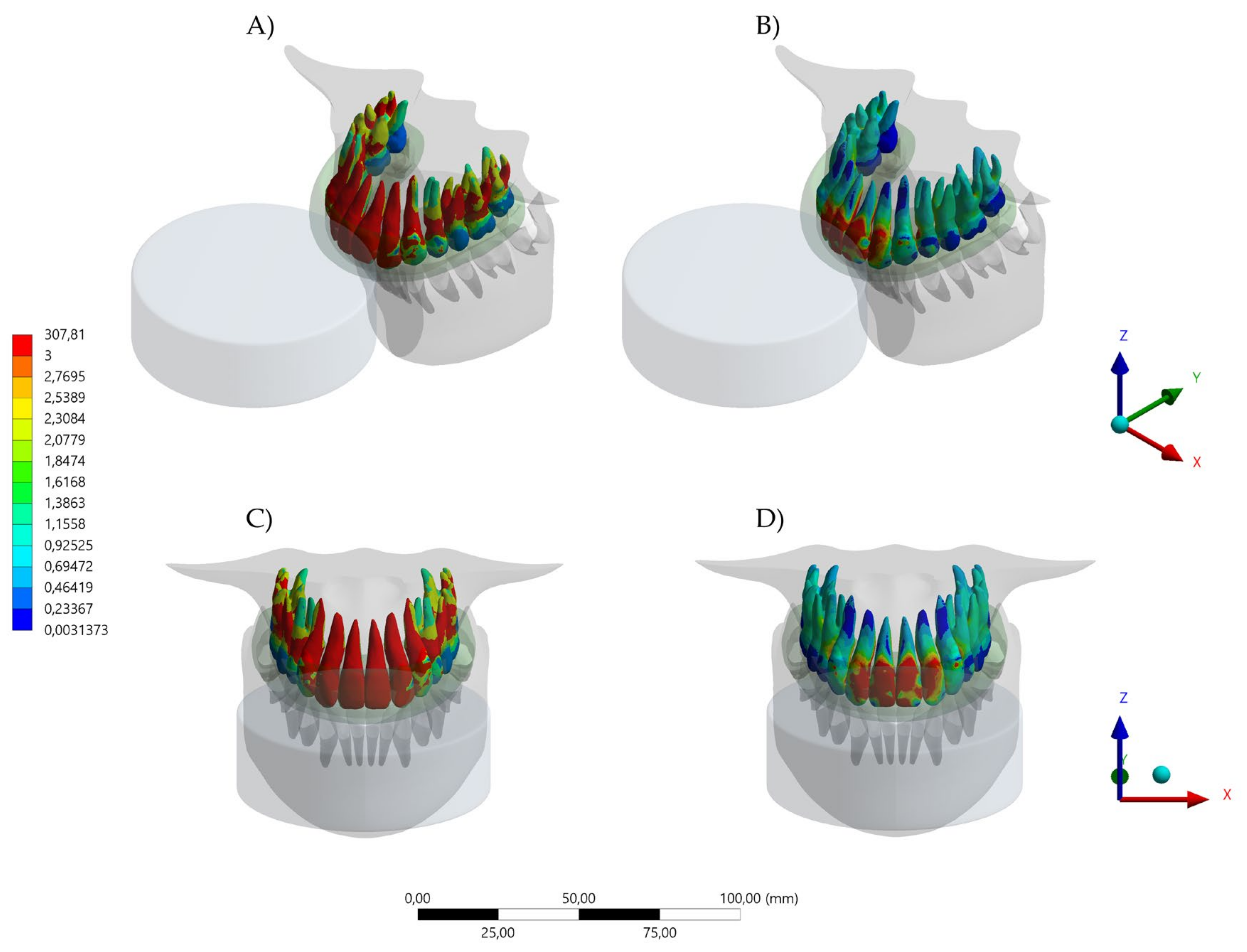 Dentistry 10 00065 g006