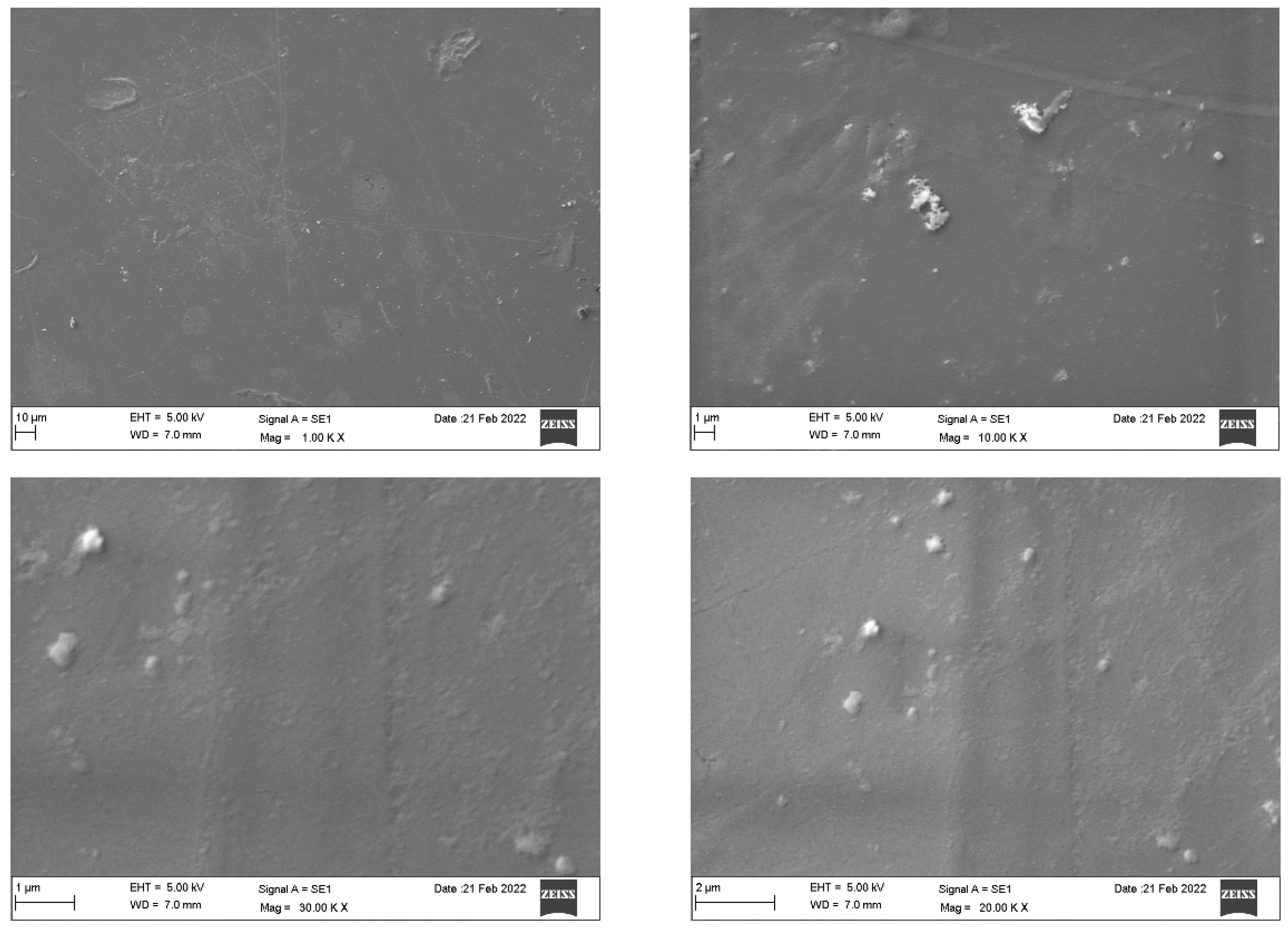 Dentistry 10 00073 g004