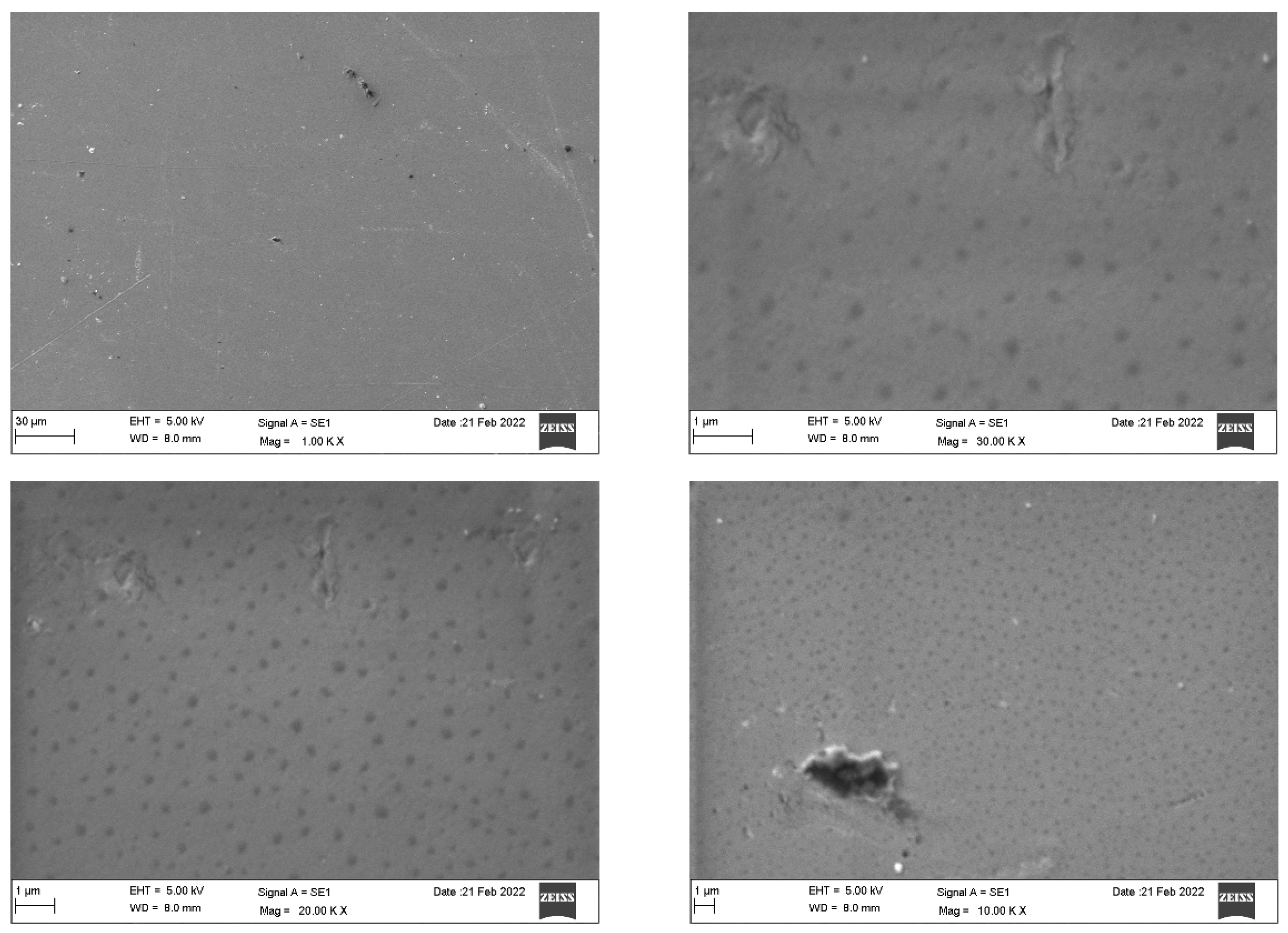 Dentistry 10 00073 g005