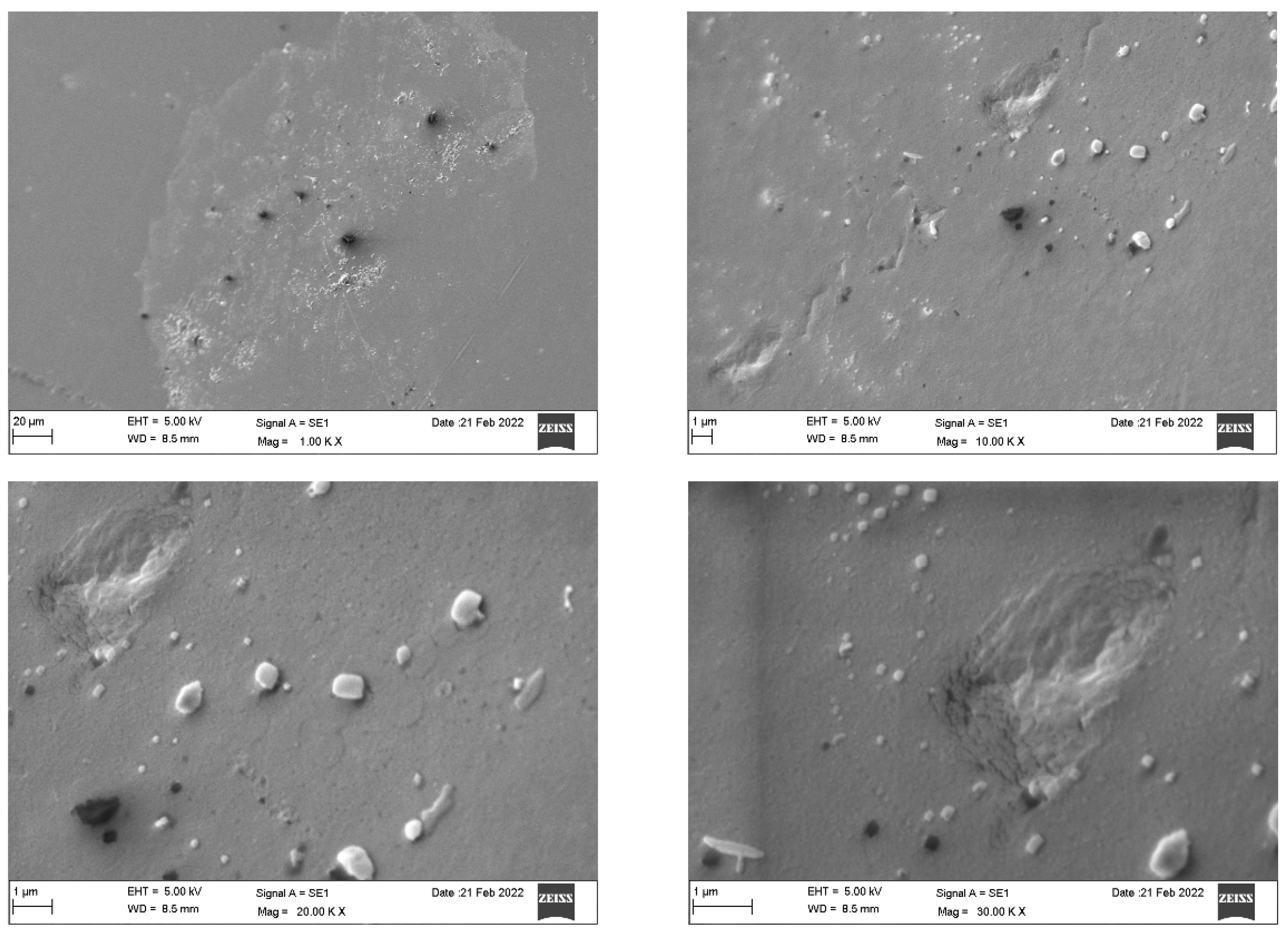 Dentistry 10 00073 g006