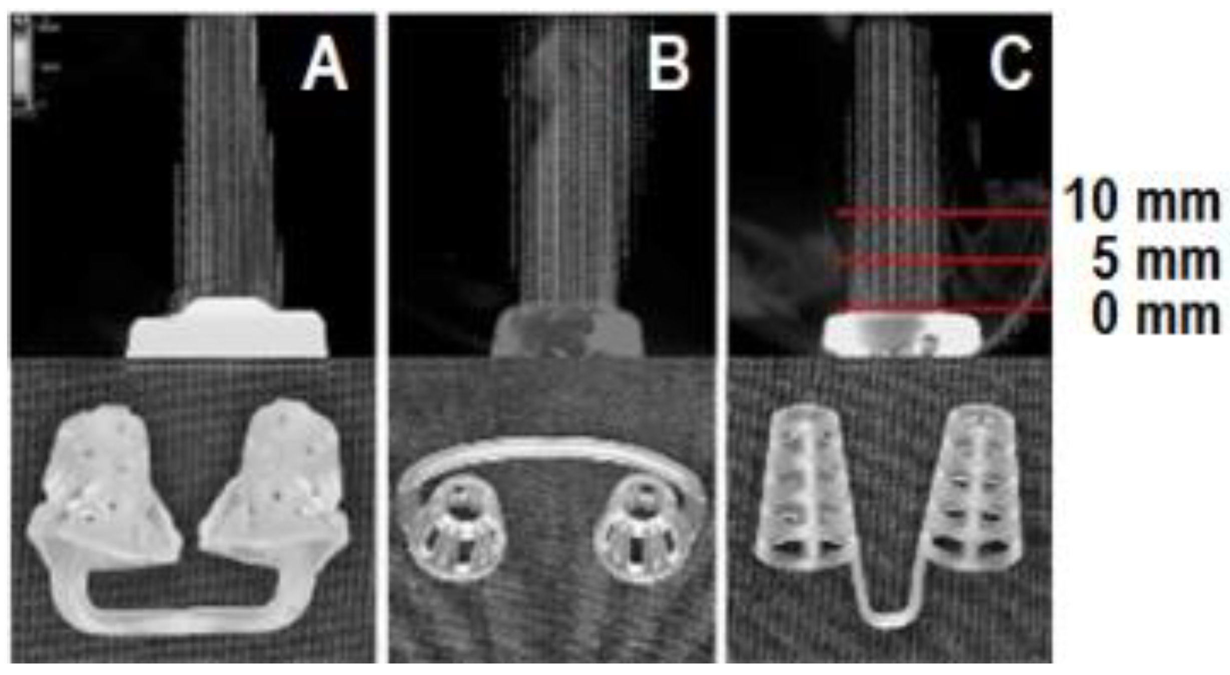 Dentistry 10 00081 g002