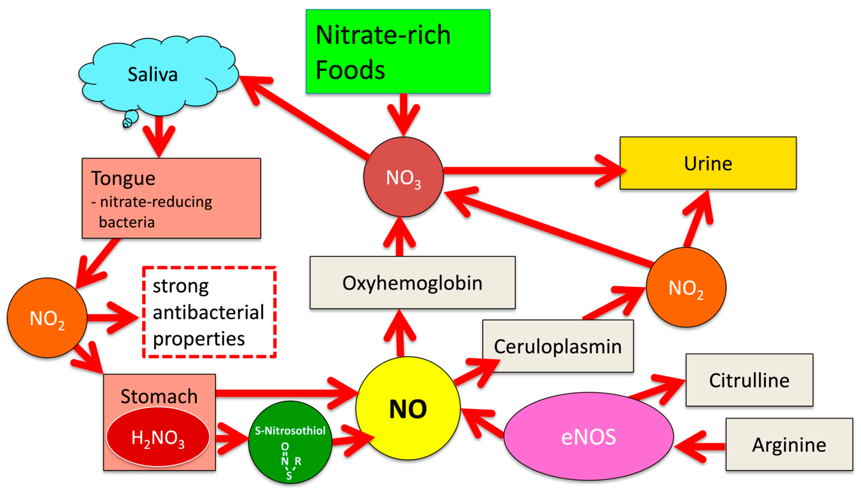Dentistry 10 00084 g001