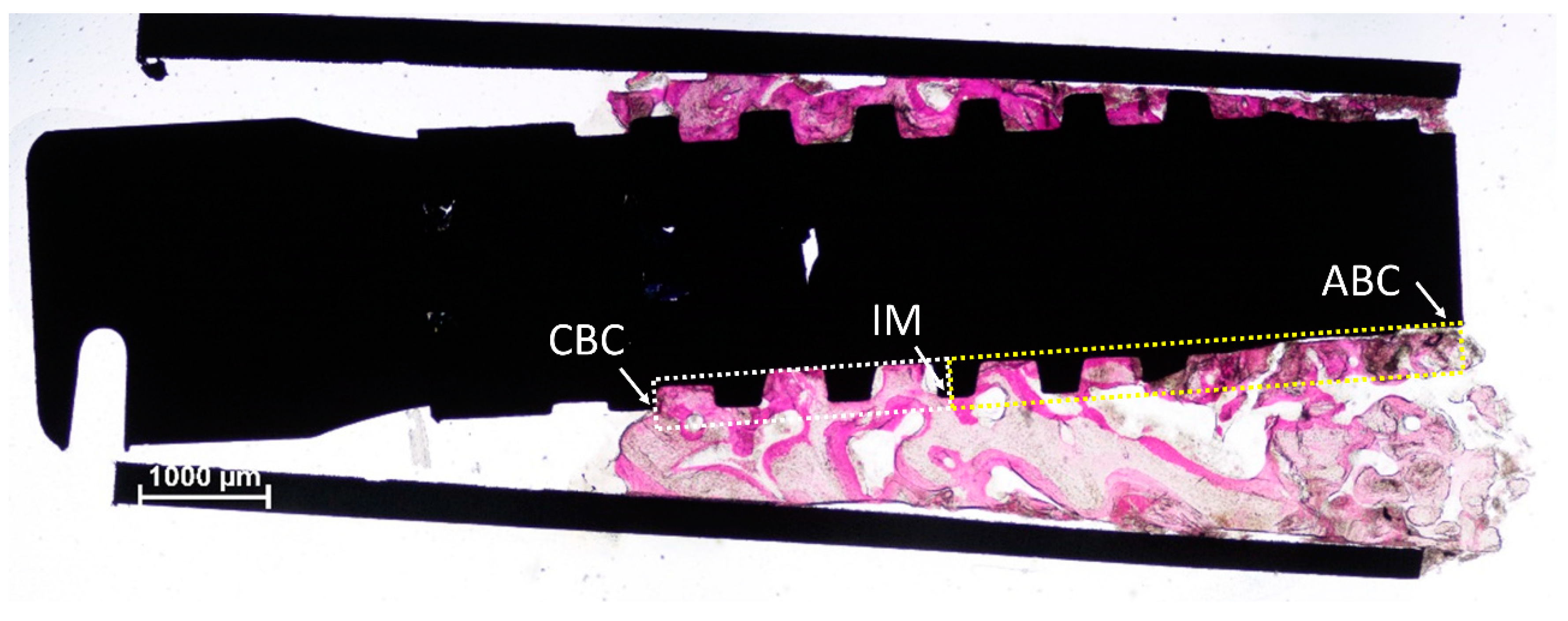 Dentistry 10 00105 g002