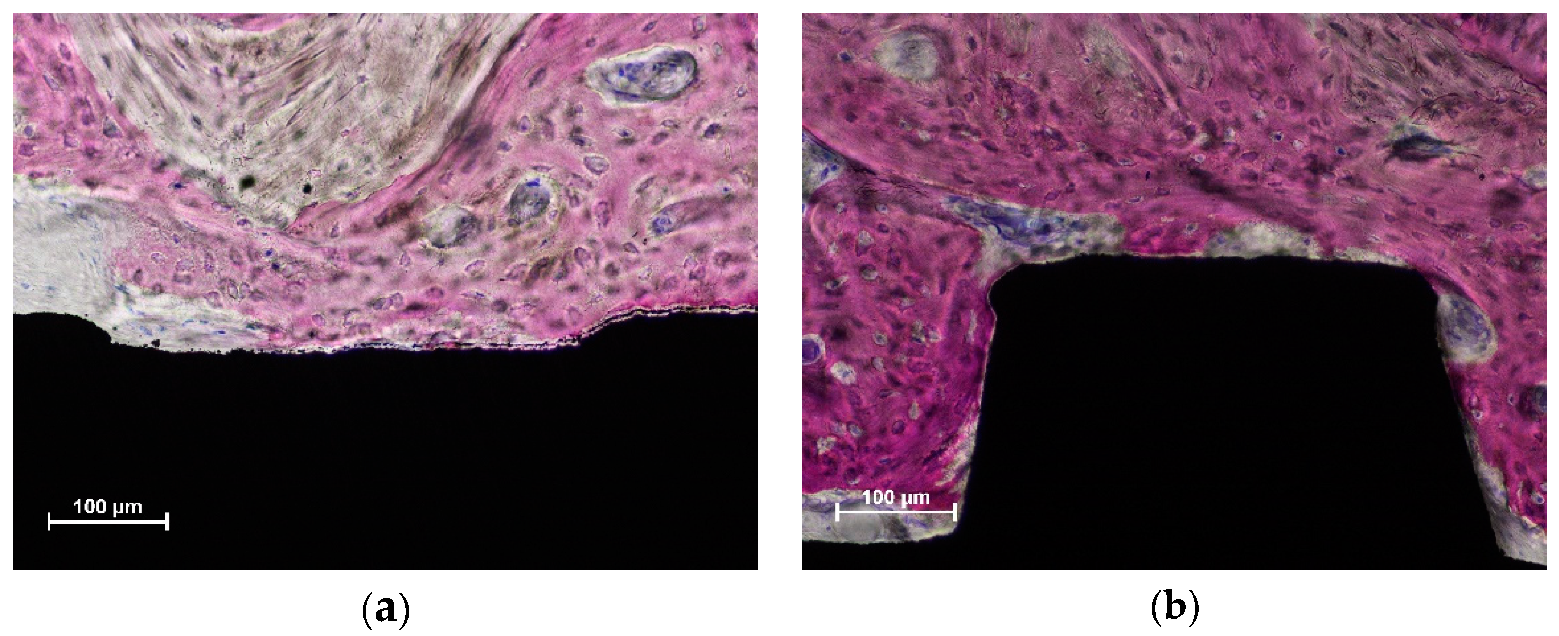 Dentistry 10 00105 g003